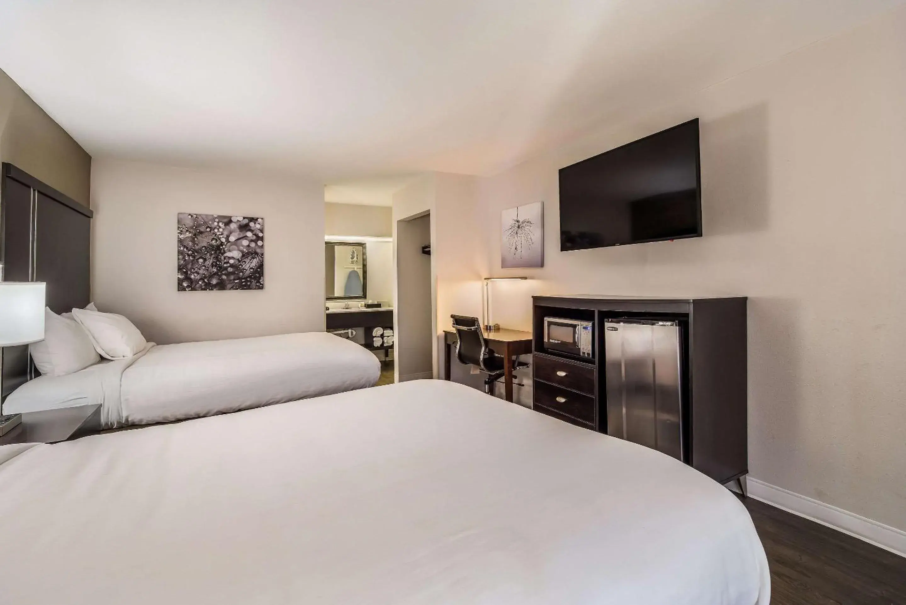 Photo of the whole room, Bed in Clarion Inn & Suites Florence - Darlington Photo of the whole room, Bed in Clarion Inn & Suites Florence - Darlington