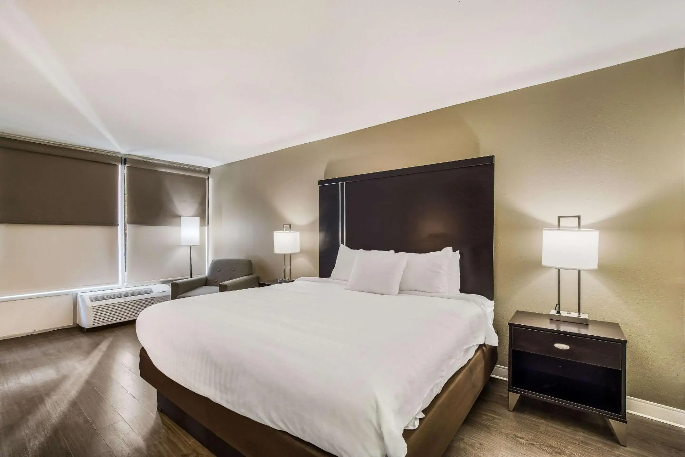 Photo of the whole room, Bed in Clarion Inn & Suites Florence - Darlington Photo of the whole room, Bed in Clarion Inn & Suites Florence - Darlington