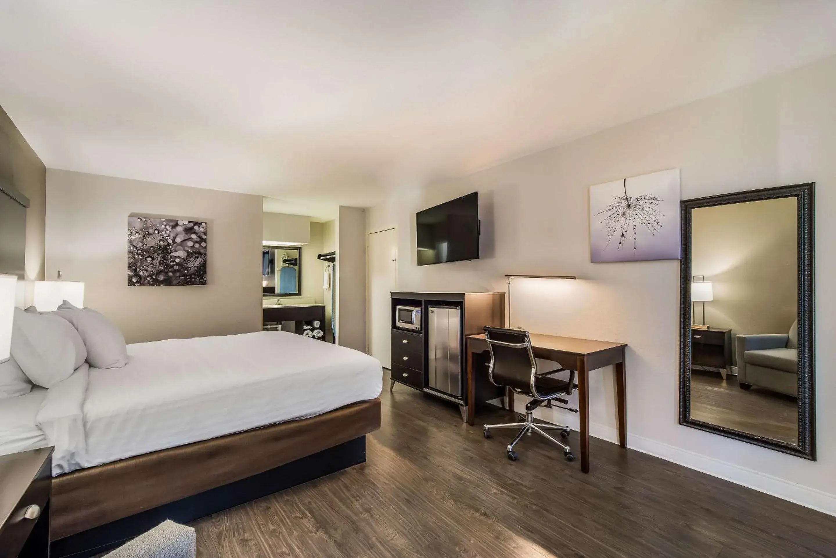 Photo of the whole room, Bed in Clarion Inn & Suites Florence - Darlington Photo of the whole room, Bed in Clarion Inn & Suites Florence - Darlington