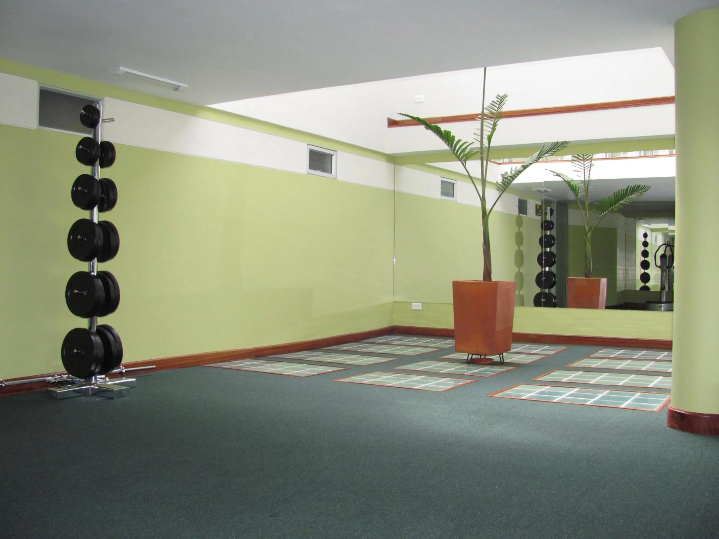Fitness centre/facilities in Apartahotel Vincent Suites