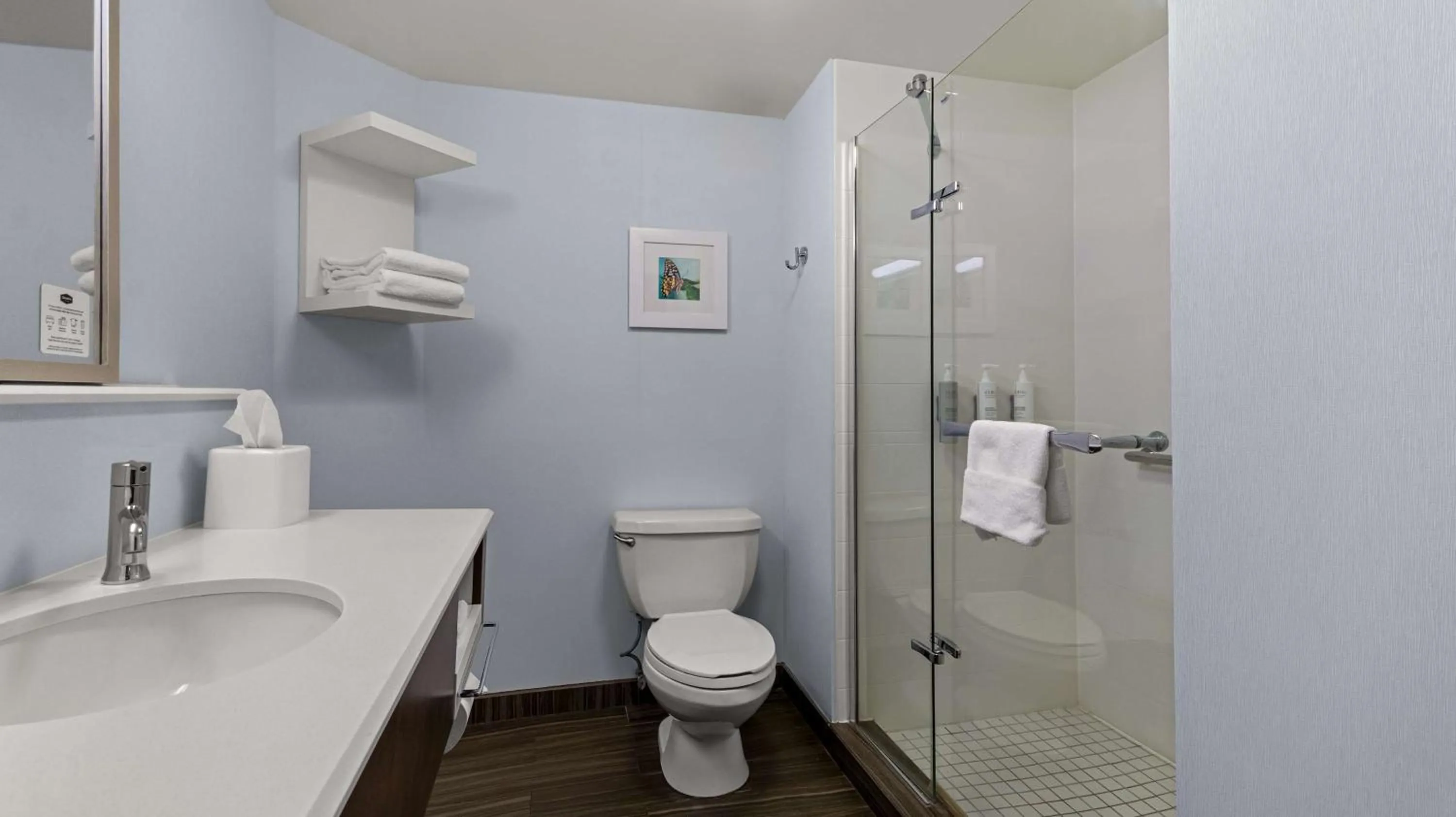 Bathroom in Hampton Inn Bloomington