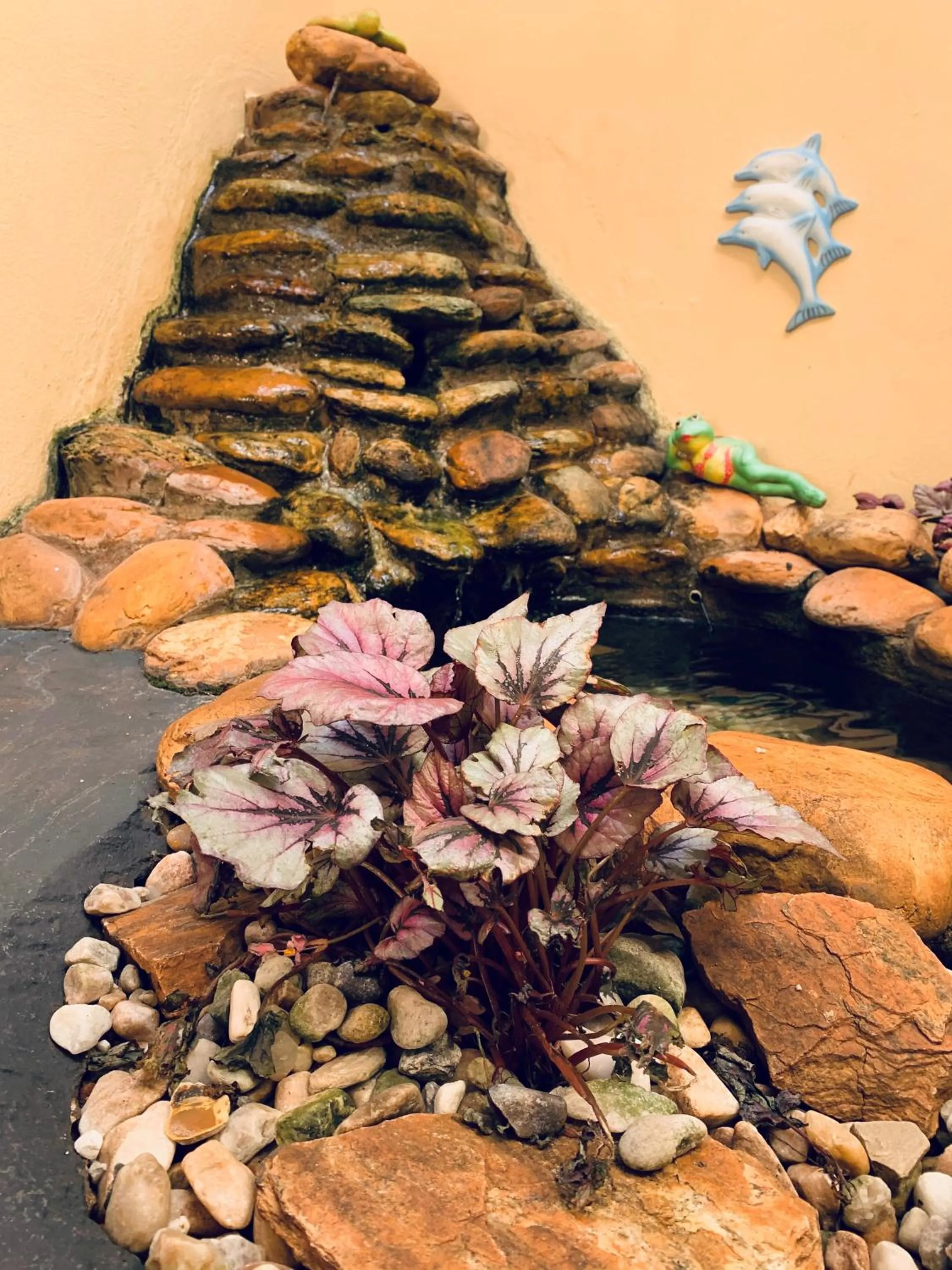 Garden in Hotel Casa Grande Orlândia SP