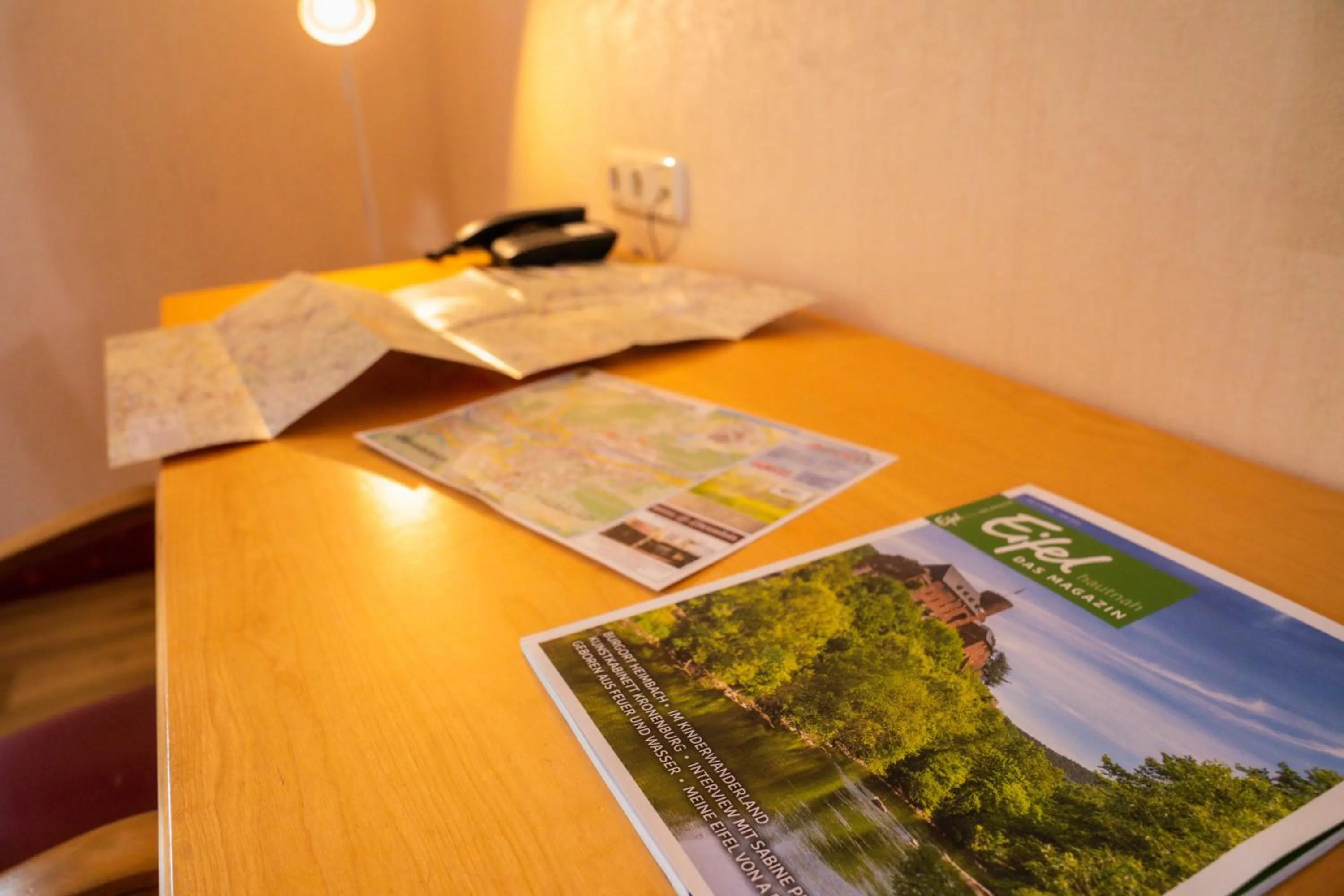 Decorative detail in Hotel Löwenstein
