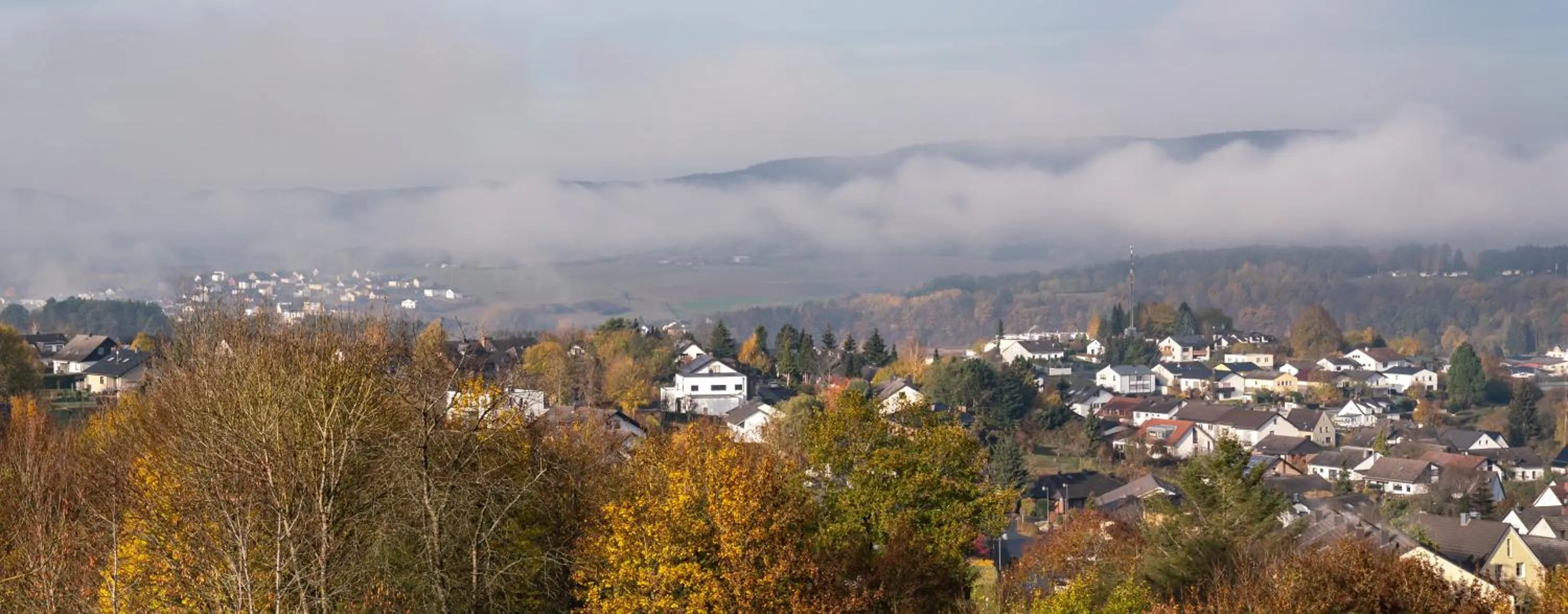 Natural landscape in Hotel Löwenstein