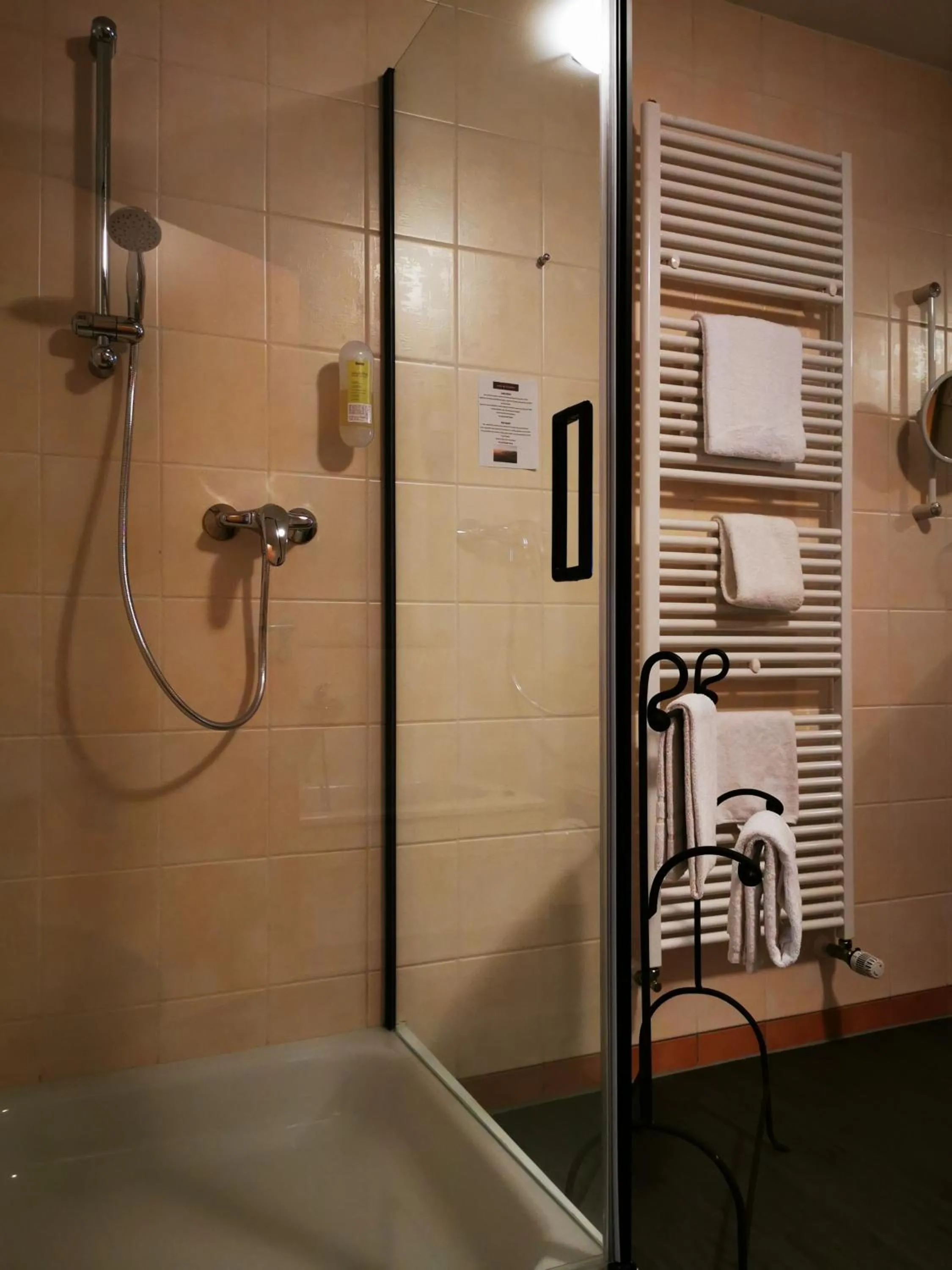 Shower in Hotel Löwenstein