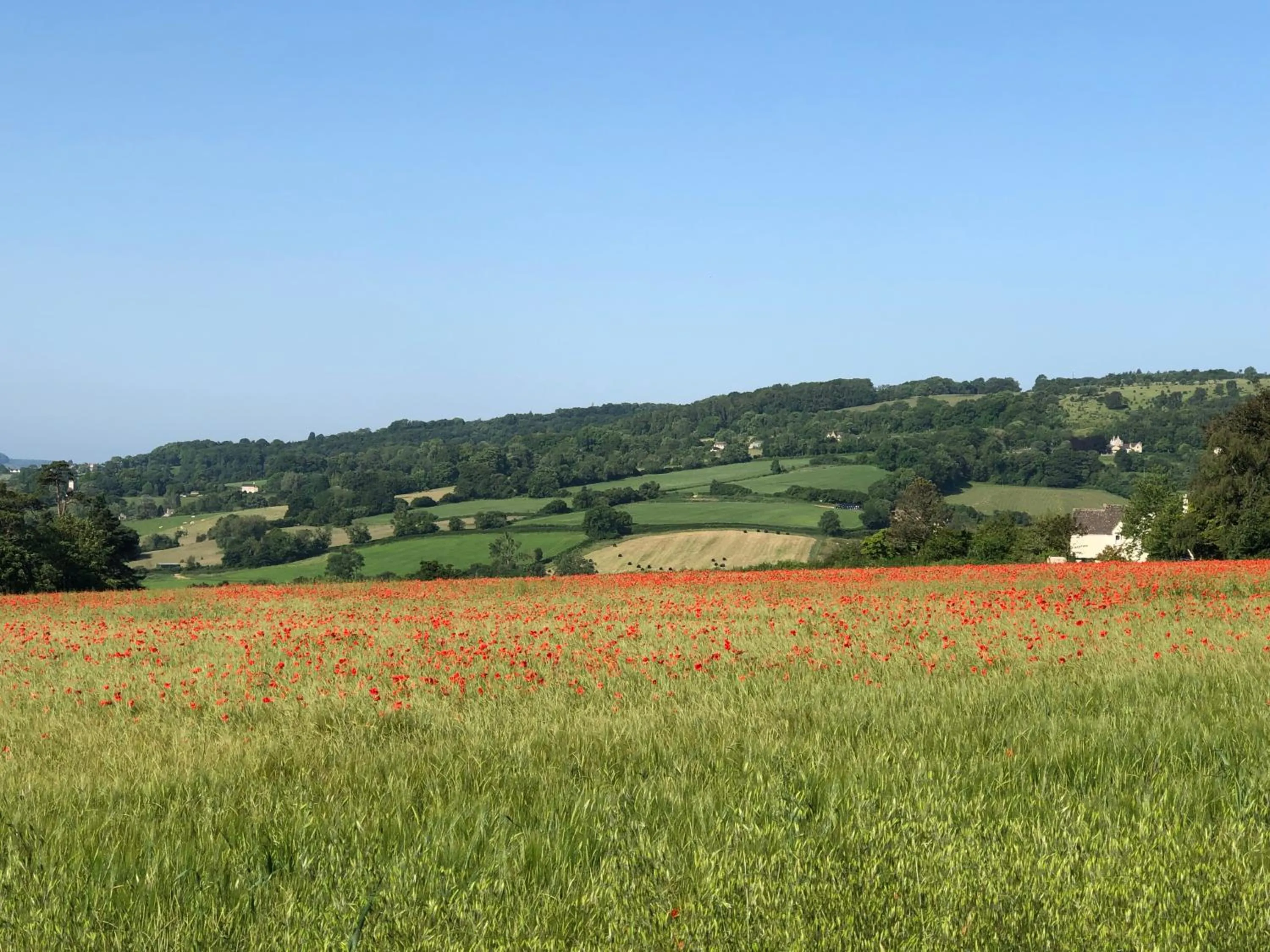 Natural landscape in Cotswold Lodge