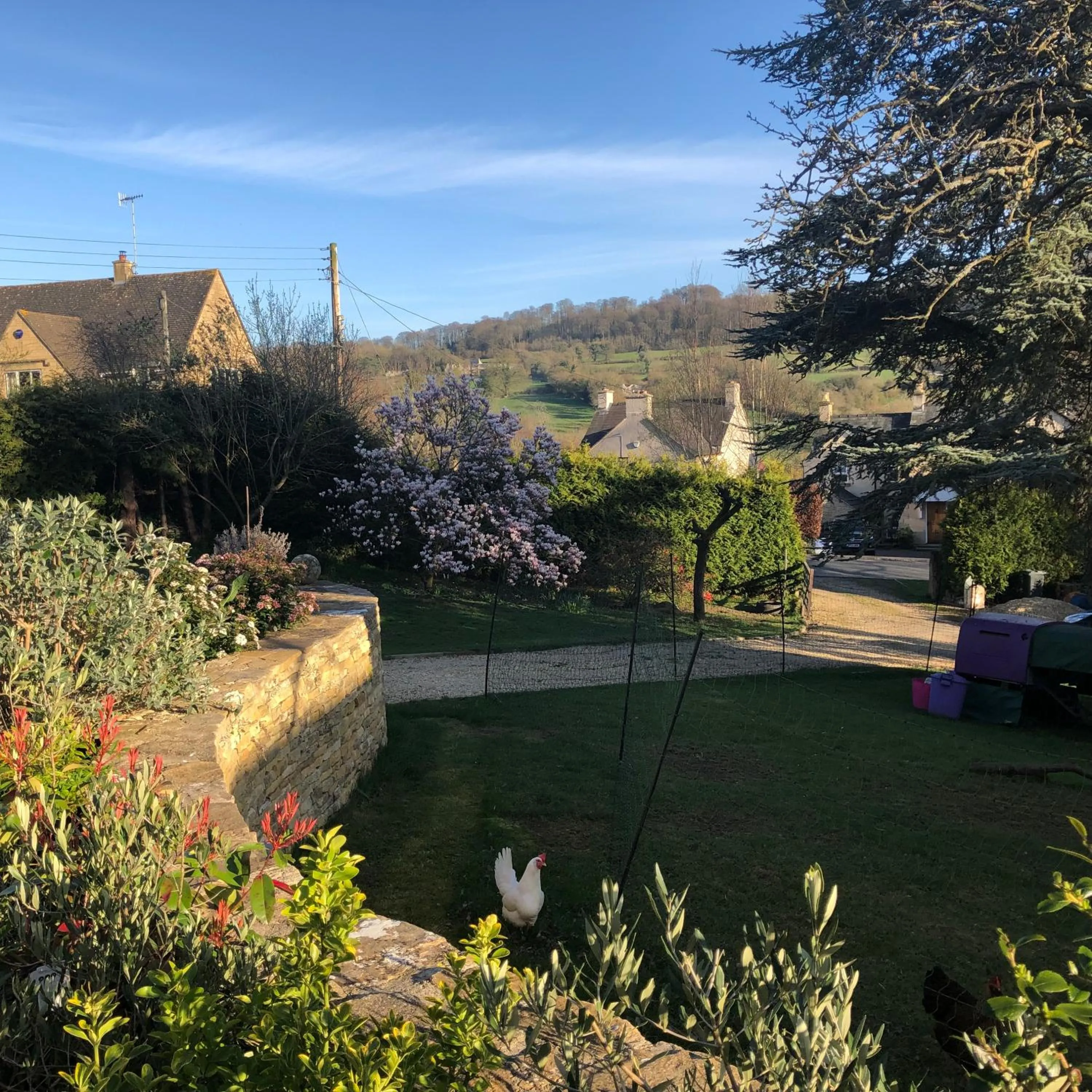 Garden view in Cotswold Lodge