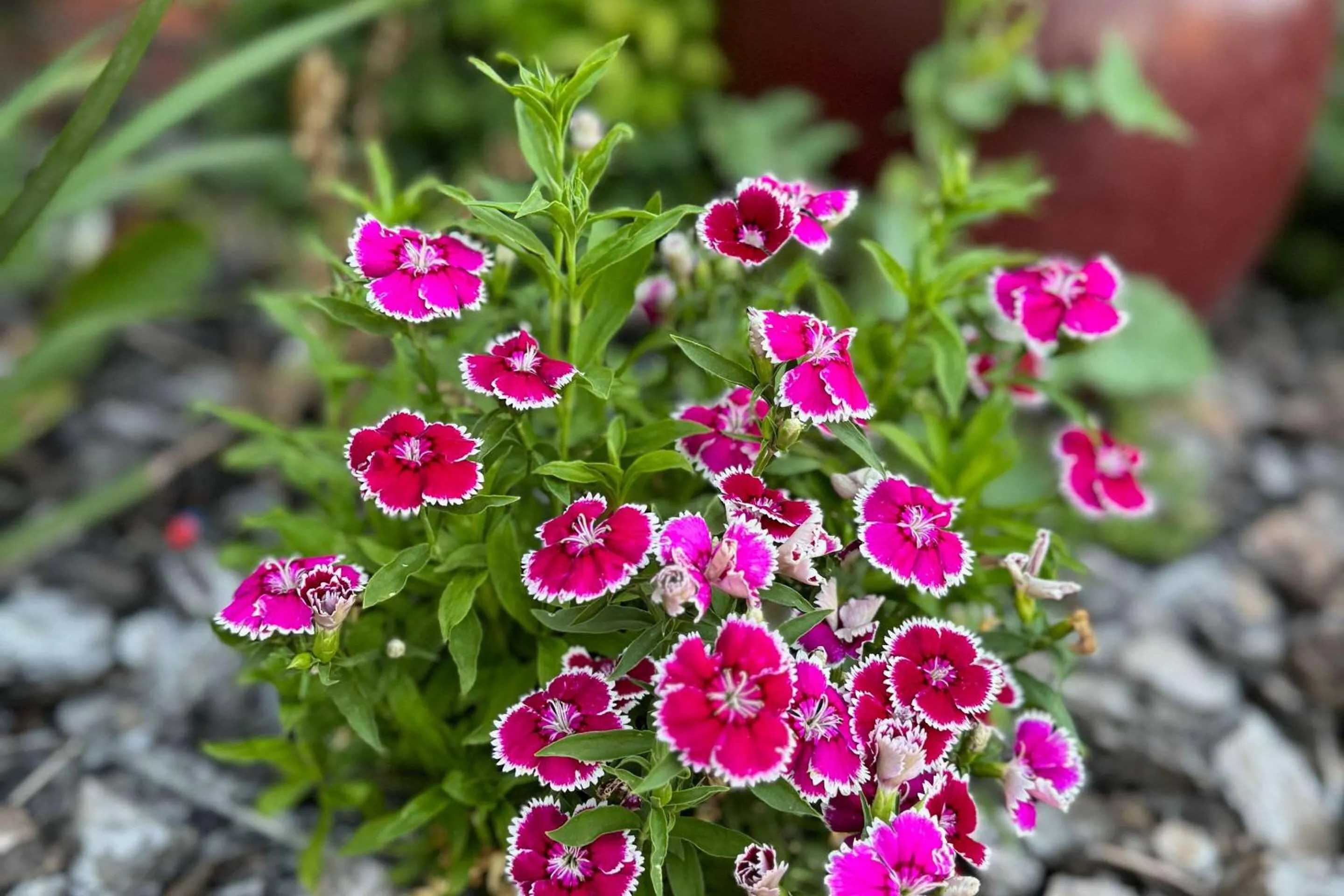 Property building in Econo Lodge Gateway Tamworth