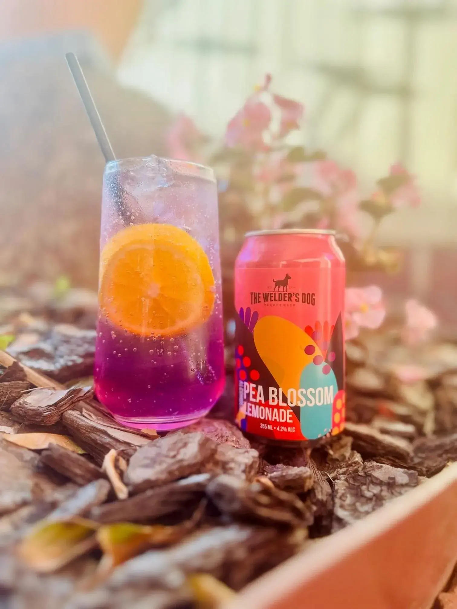 Food and drinks in Econo Lodge Gateway Tamworth Food and drinks in Econo Lodge Gateway Tamworth