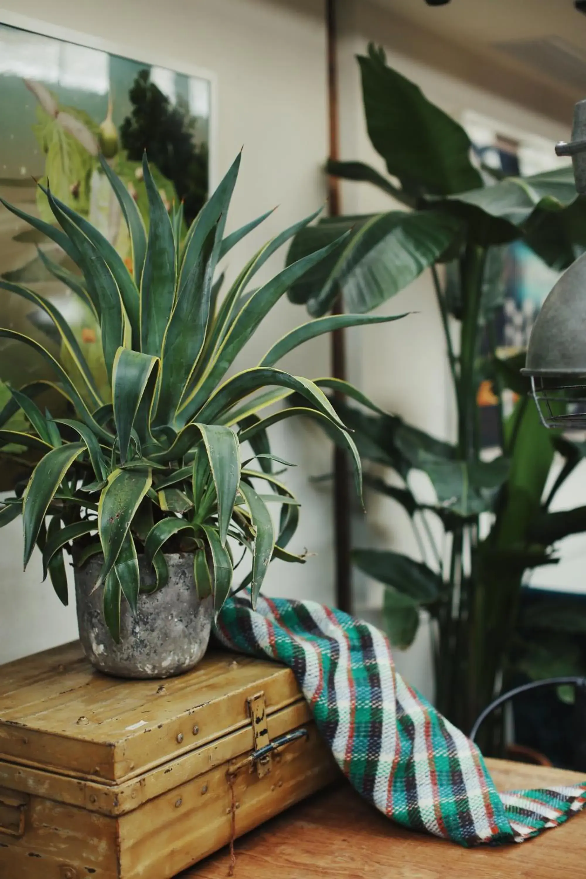 Lobby or reception in Peking Yard Boutique Hotel Lobby or reception in Peking Yard Boutique Hotel