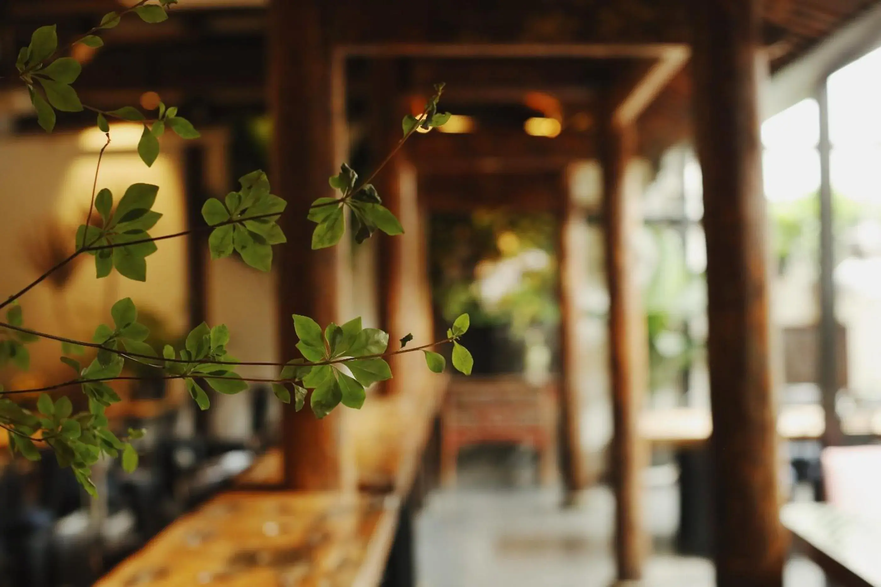 Facade/entrance in Peking Yard Boutique Hotel Facade/entrance in Peking Yard Boutique Hotel