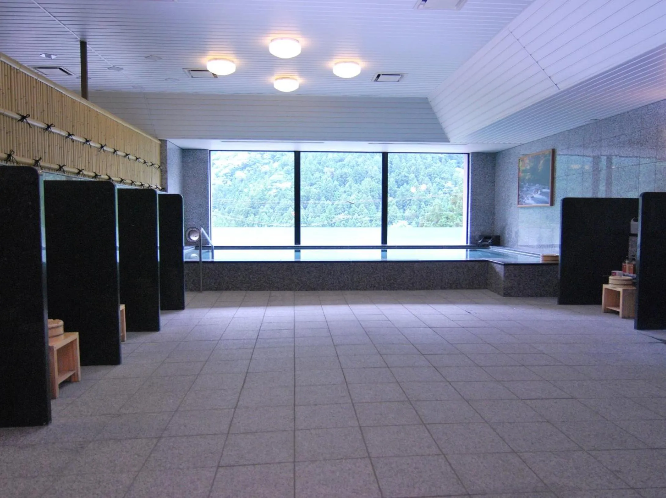 Hot Spring Bath in Hotel Kazurabashi