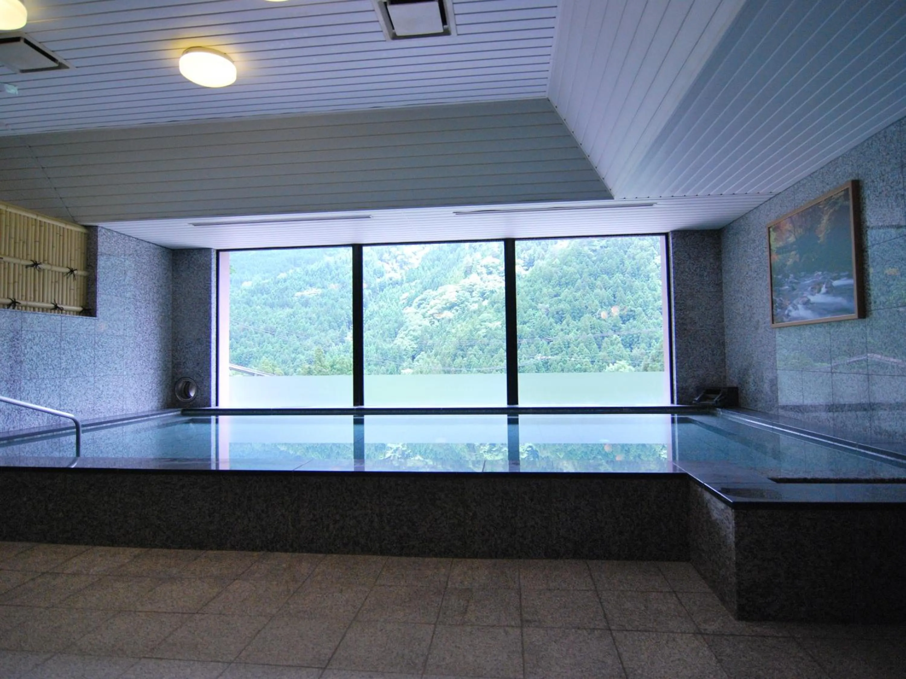 Hot Spring Bath in Hotel Kazurabashi
