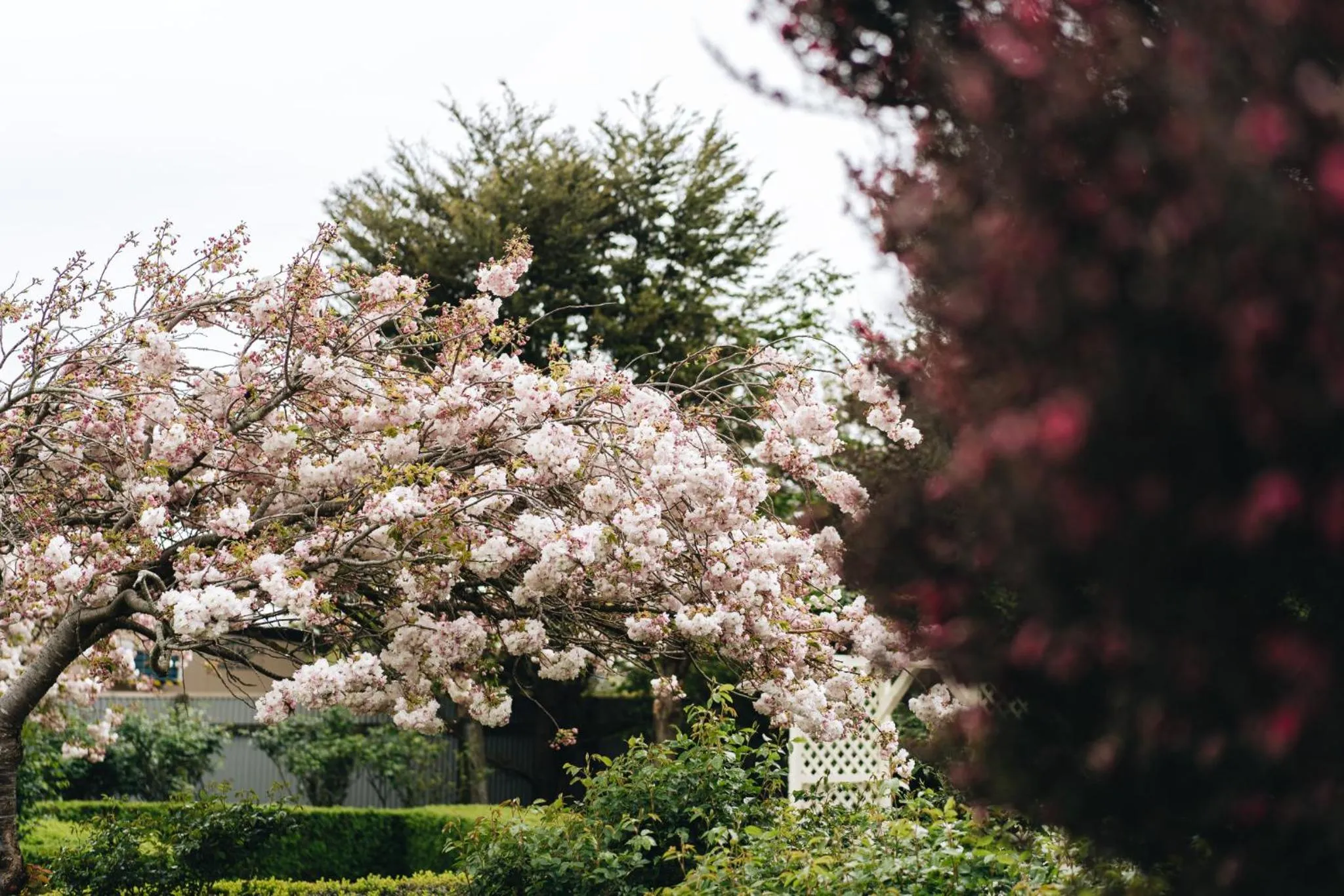 Brackenridge Country Retreat & Spa