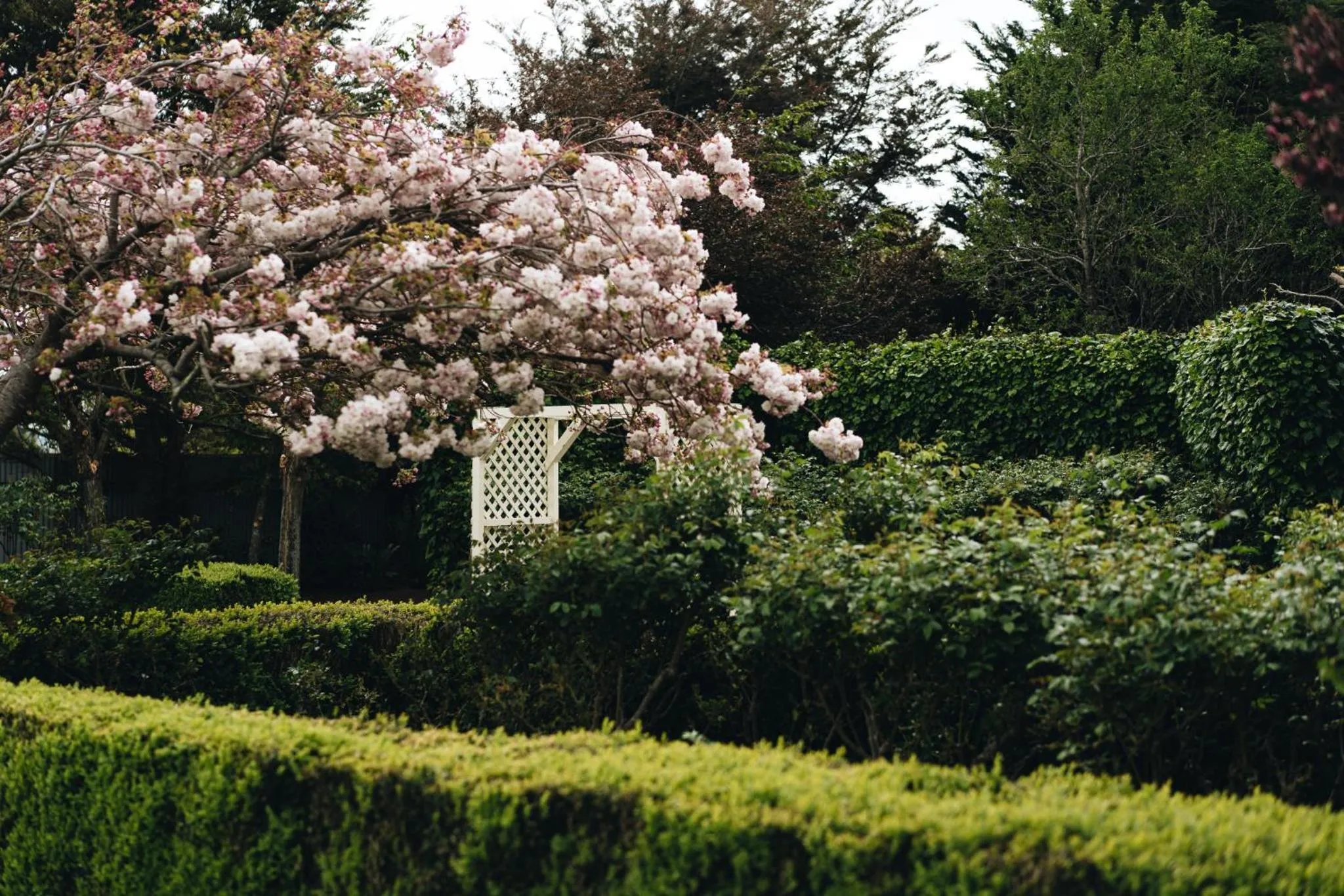 Garden in Brackenridge Country Retreat & Spa