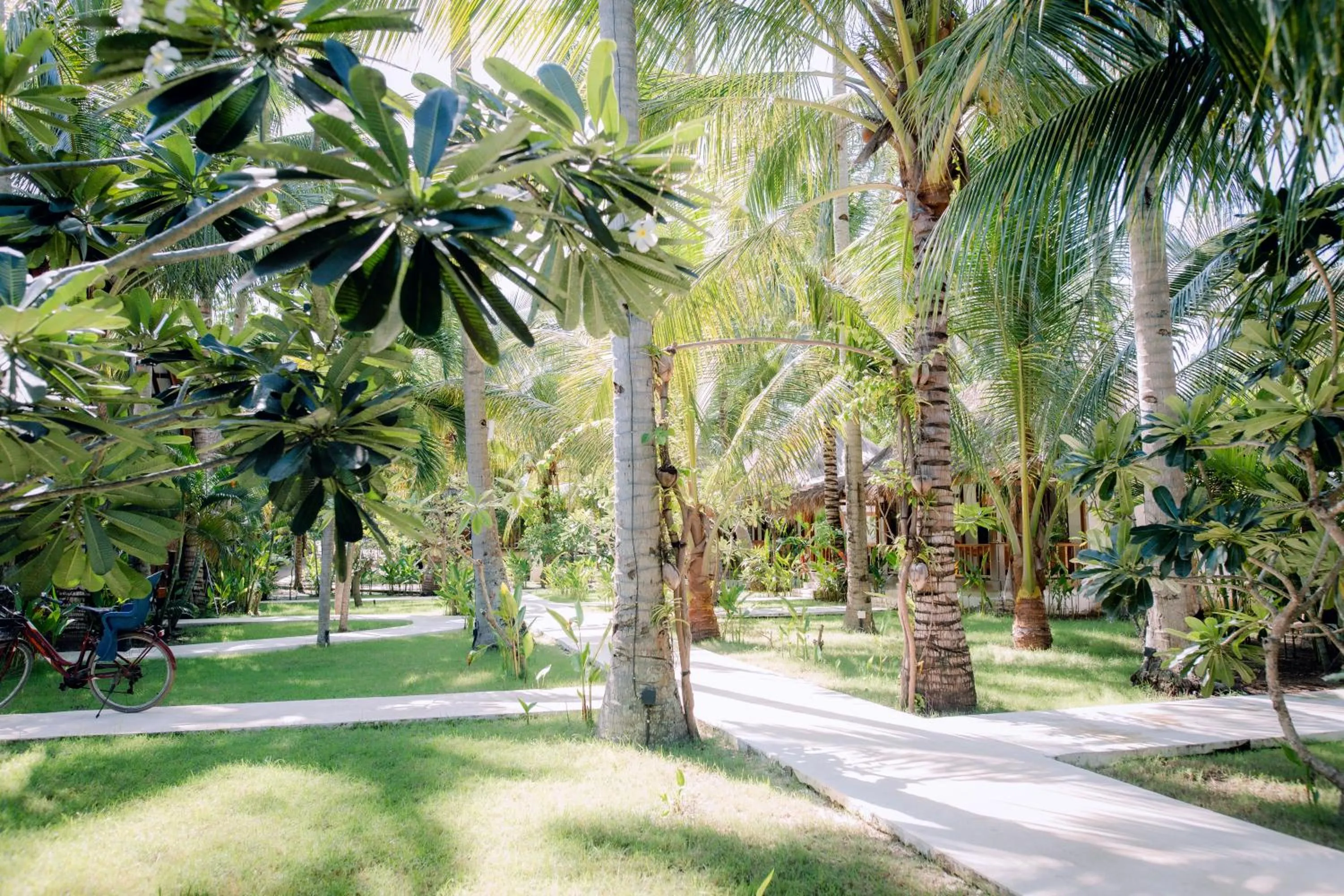 Island View Bar & Bungalow