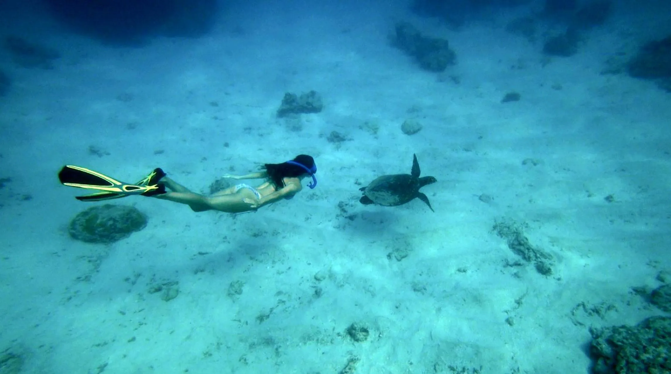 Island View Bar & Bungalow