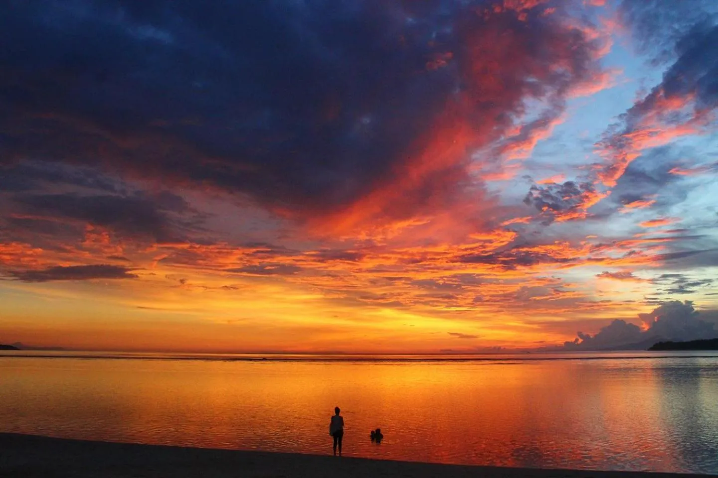 Beach in Island View Bar & Bungalow