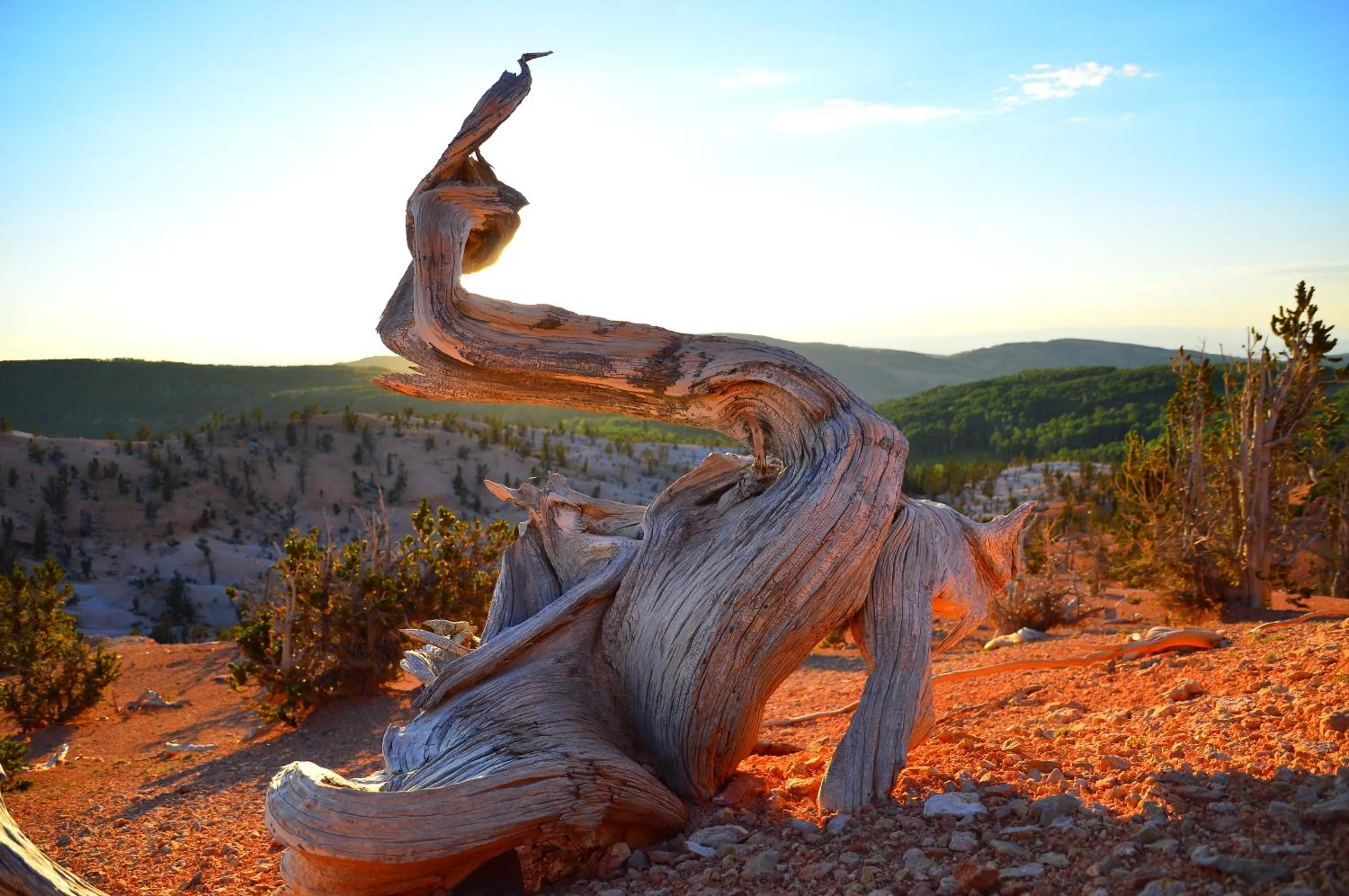 Iron Springs Luxury Lodge & Spa