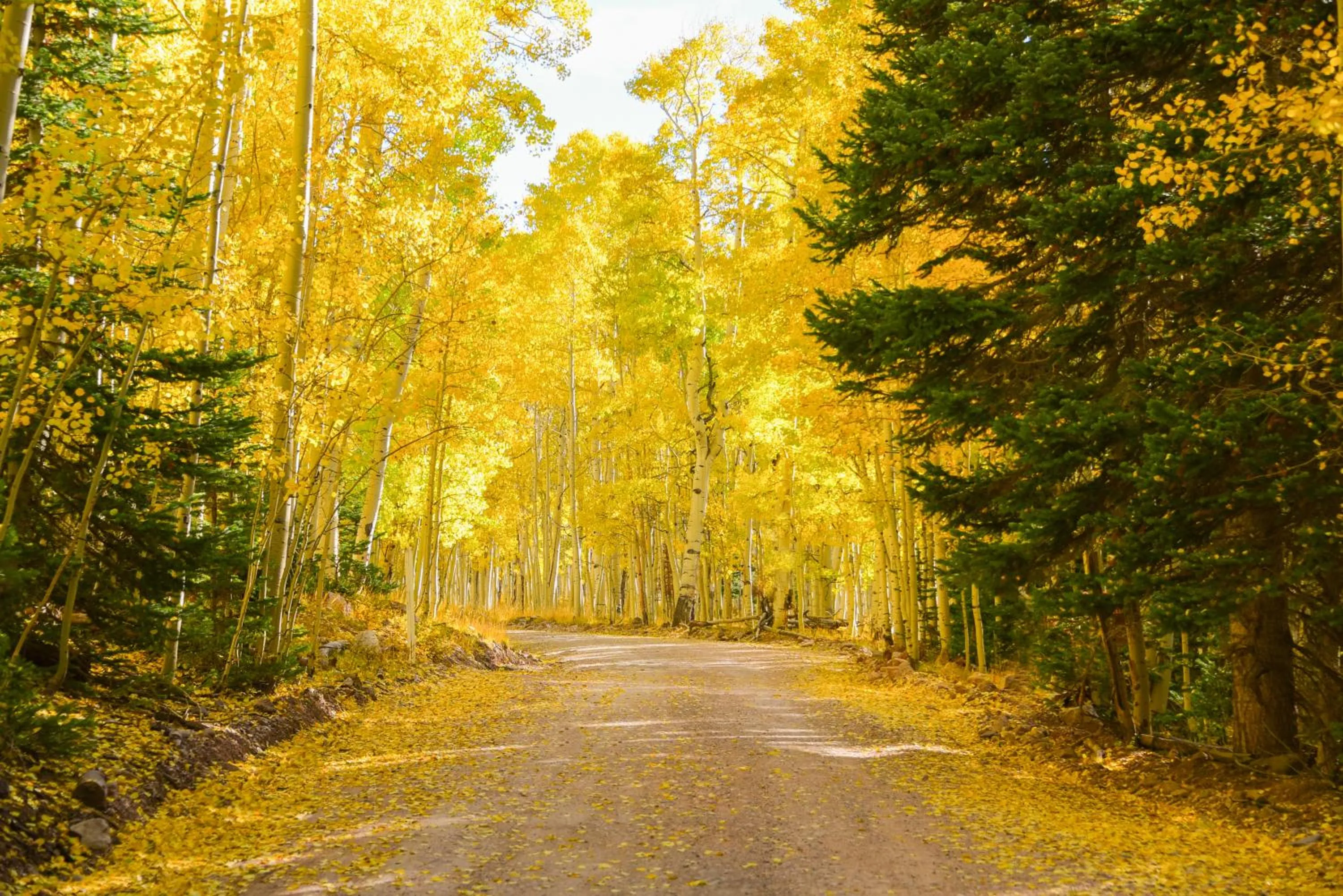 Iron Springs Luxury Lodge & Spa