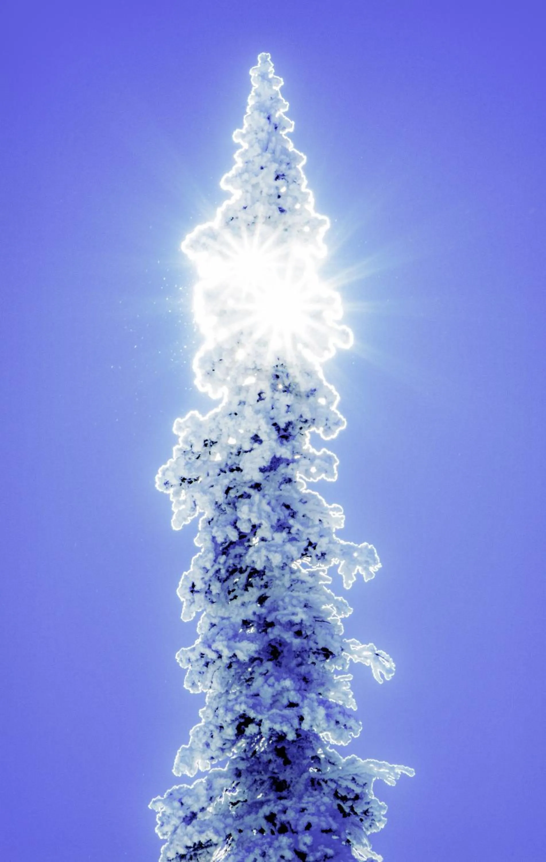 Iron Springs Luxury Lodge & Spa