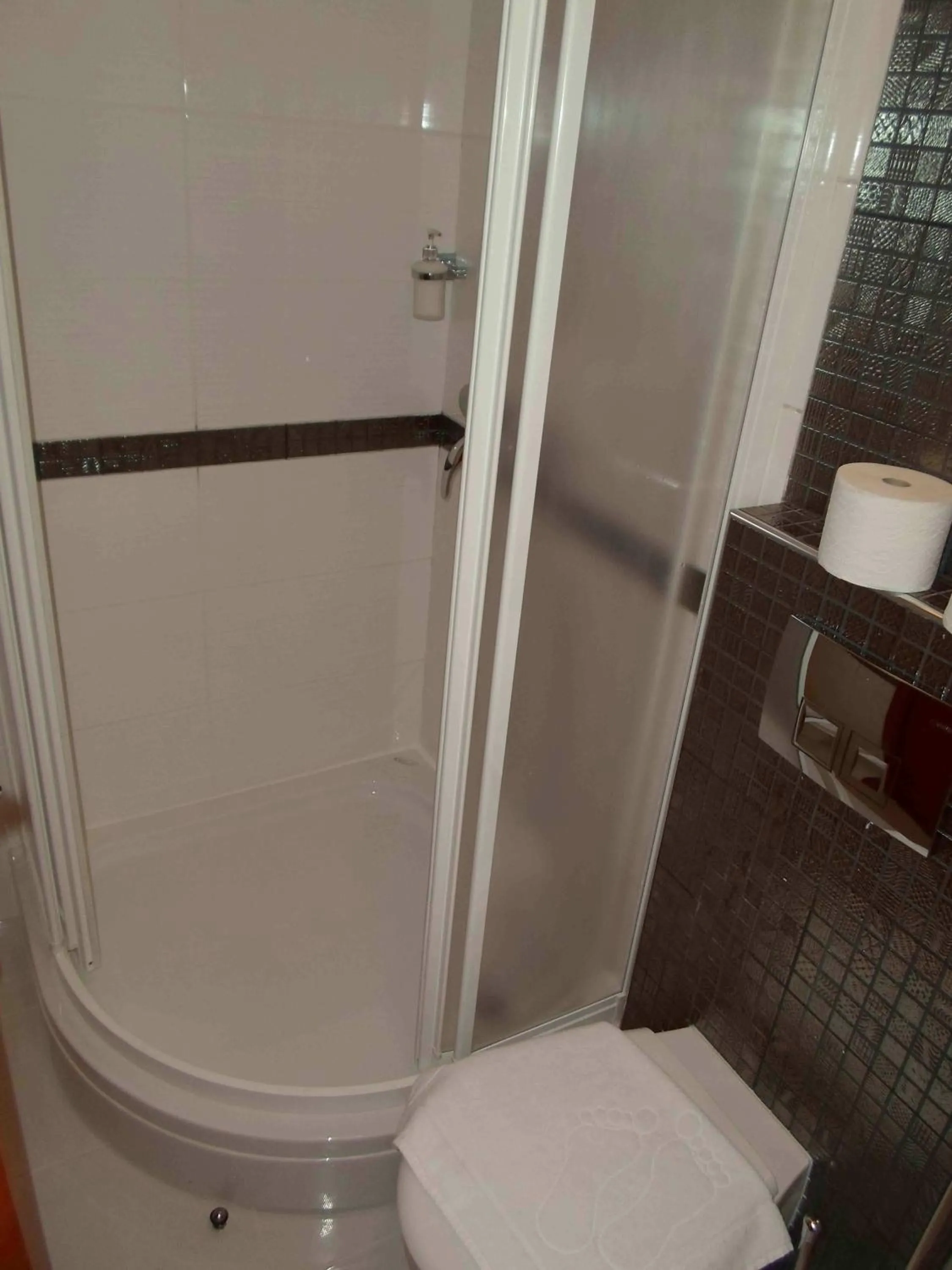 Shower in Apartments Stević - Monaco