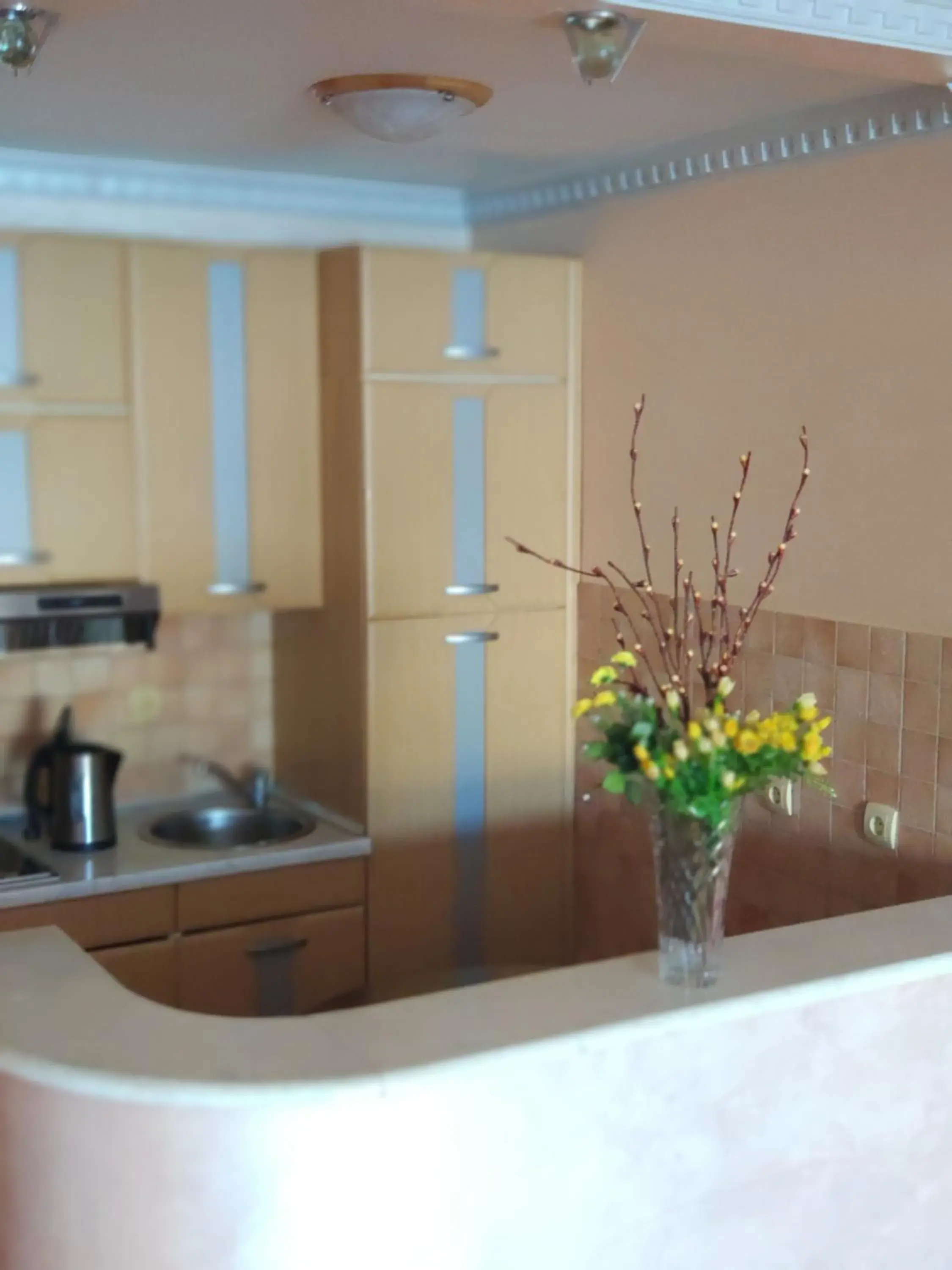 One-Bedroom Apartment with Terrace and Sea View in Apartments Stević - Monaco One-Bedroom Apartment with Terrace and Sea View in Apartments Stević - Monaco