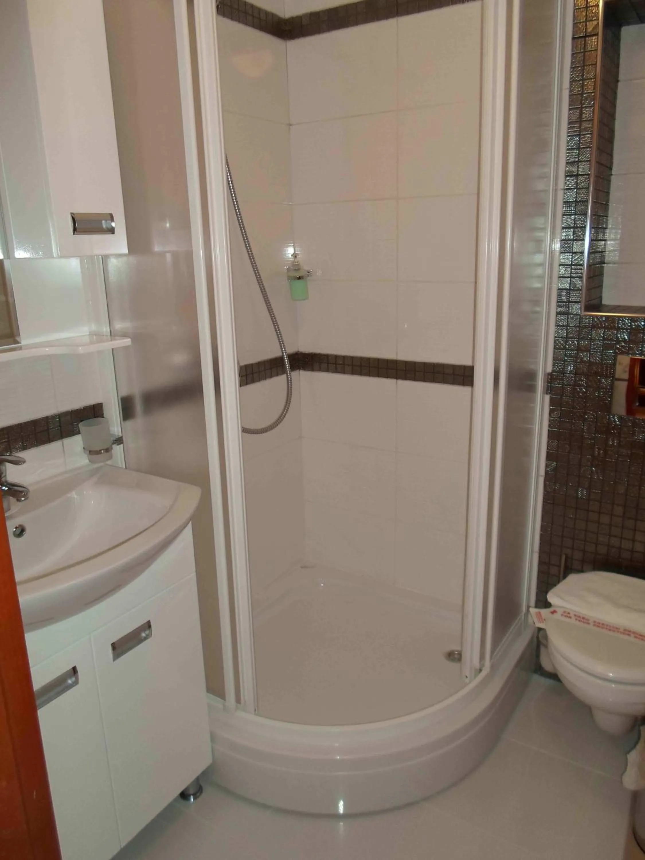 Shower in Apartments Stević - Monaco