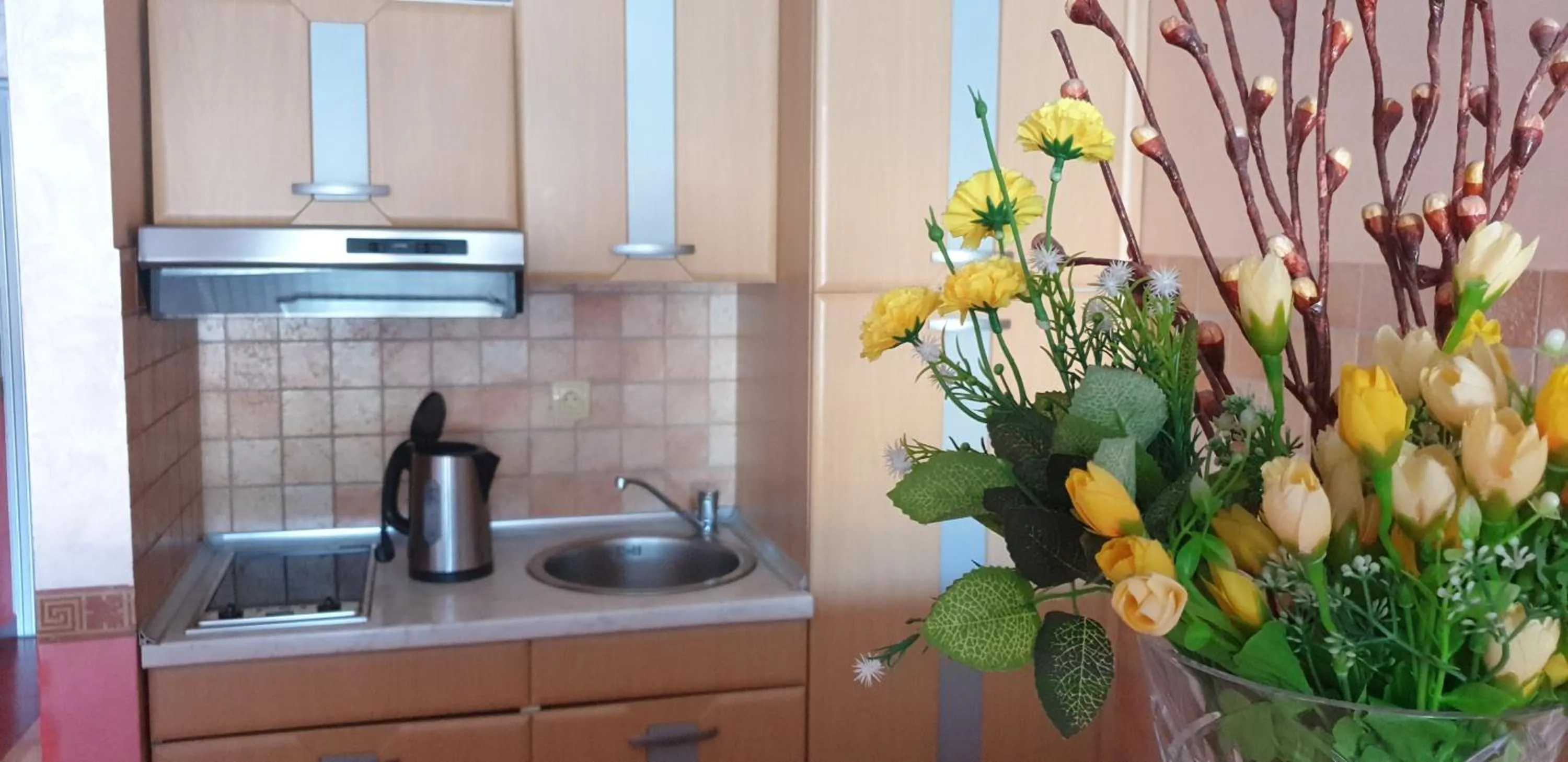 Kitchen or kitchenette in Apartments Stević - Monaco