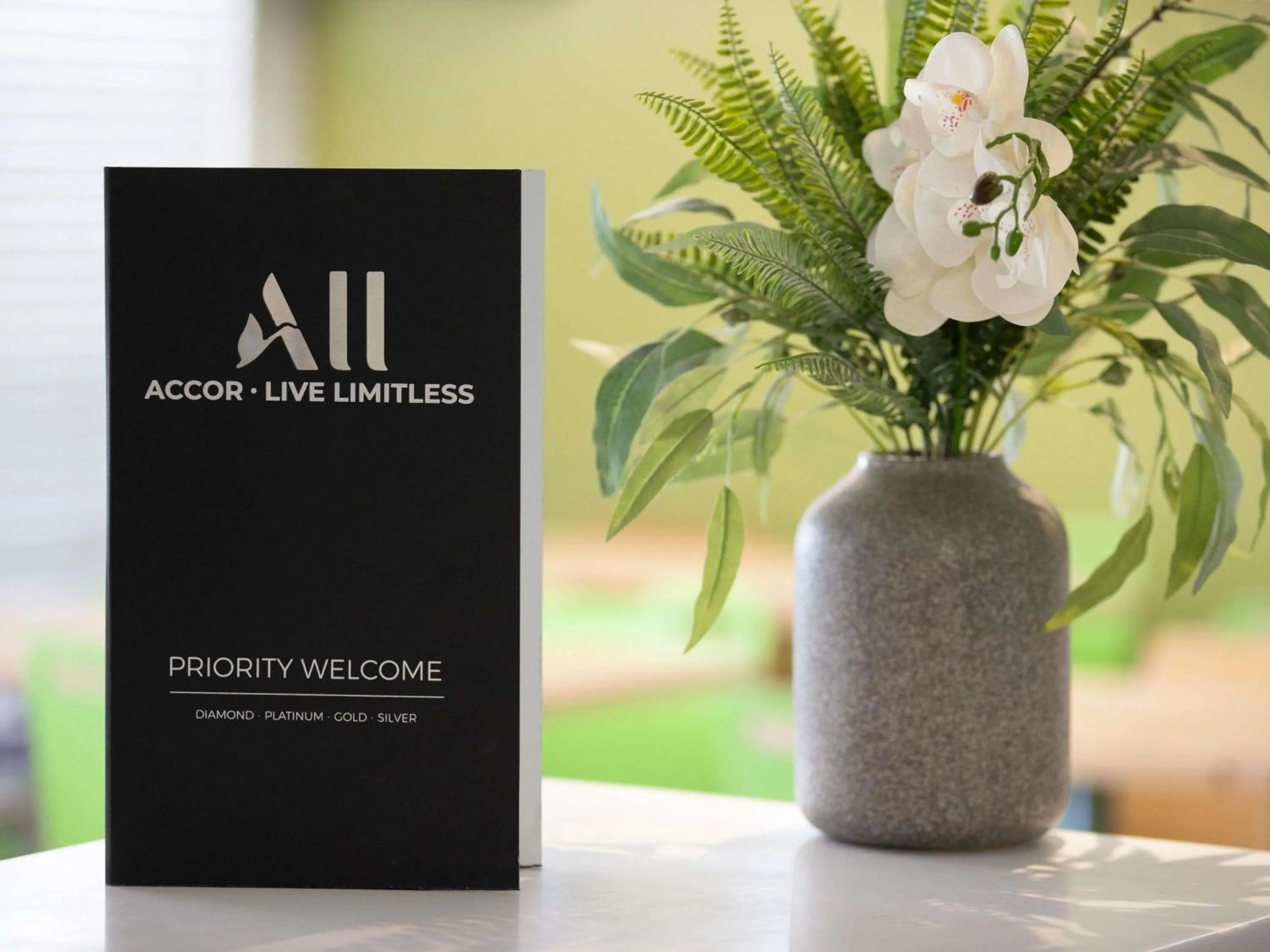 Property building in ibis Budget - Newcastle