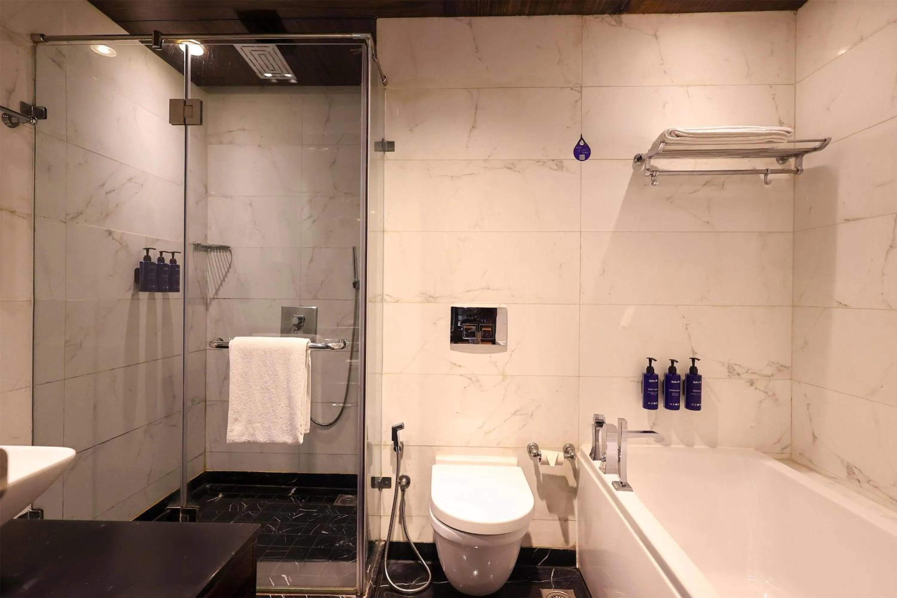 Bathroom in Radisson Blu Hotel New Delhi Paschim Vihar