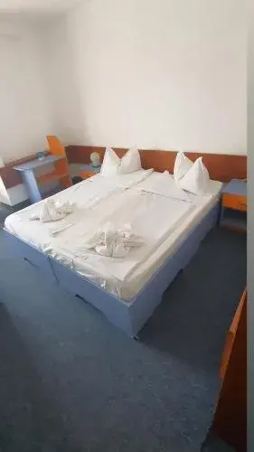 Hotel Banat Hotel Banat