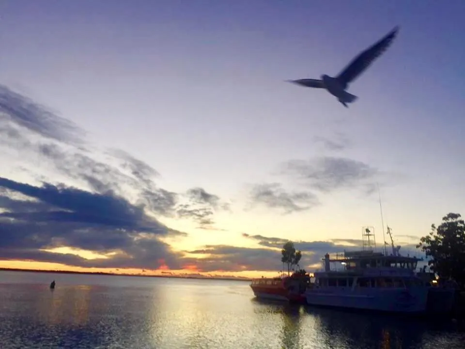 Natural landscape in Huskisson Beach Escape