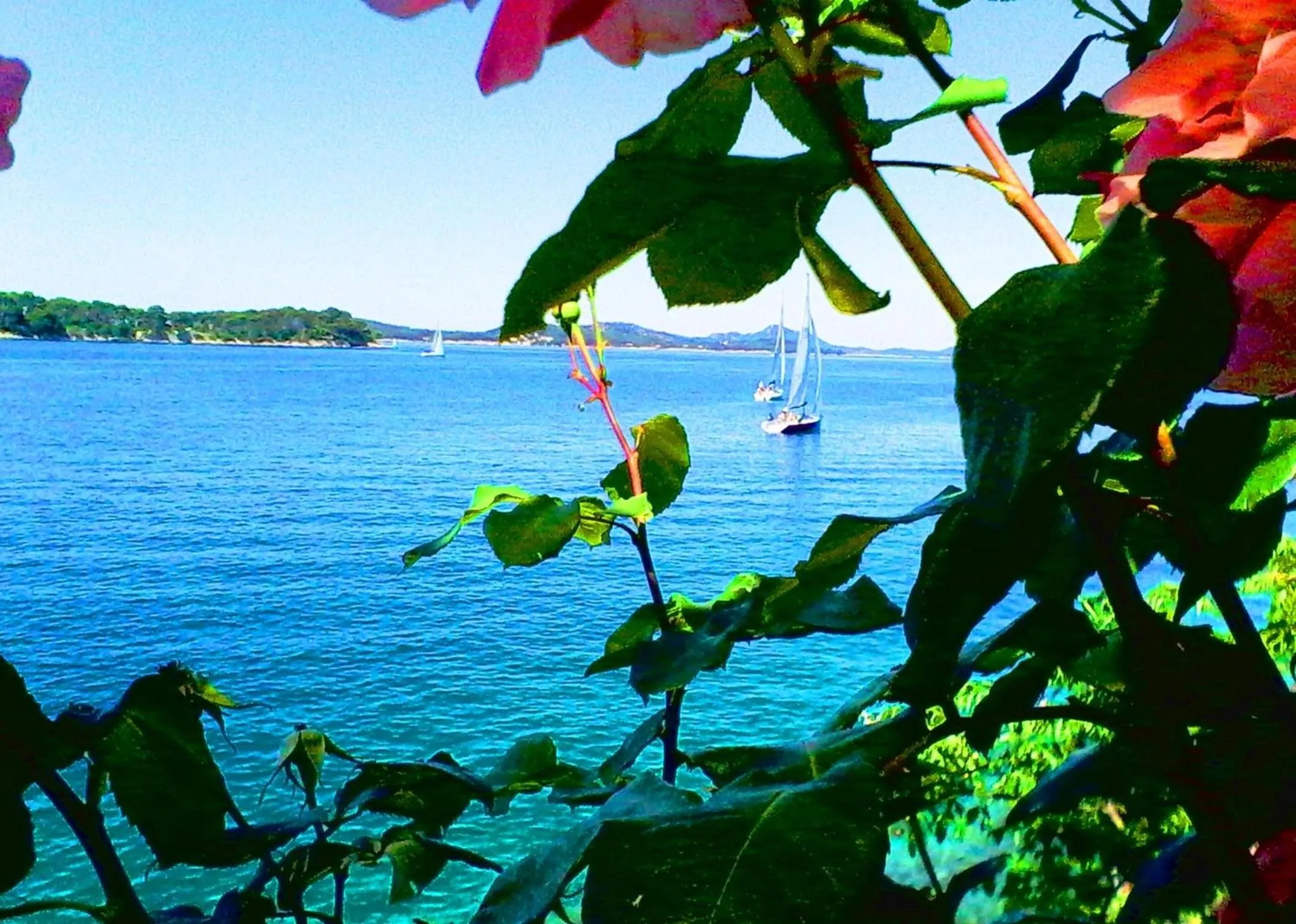 View (from property/room) in Sea of Eden