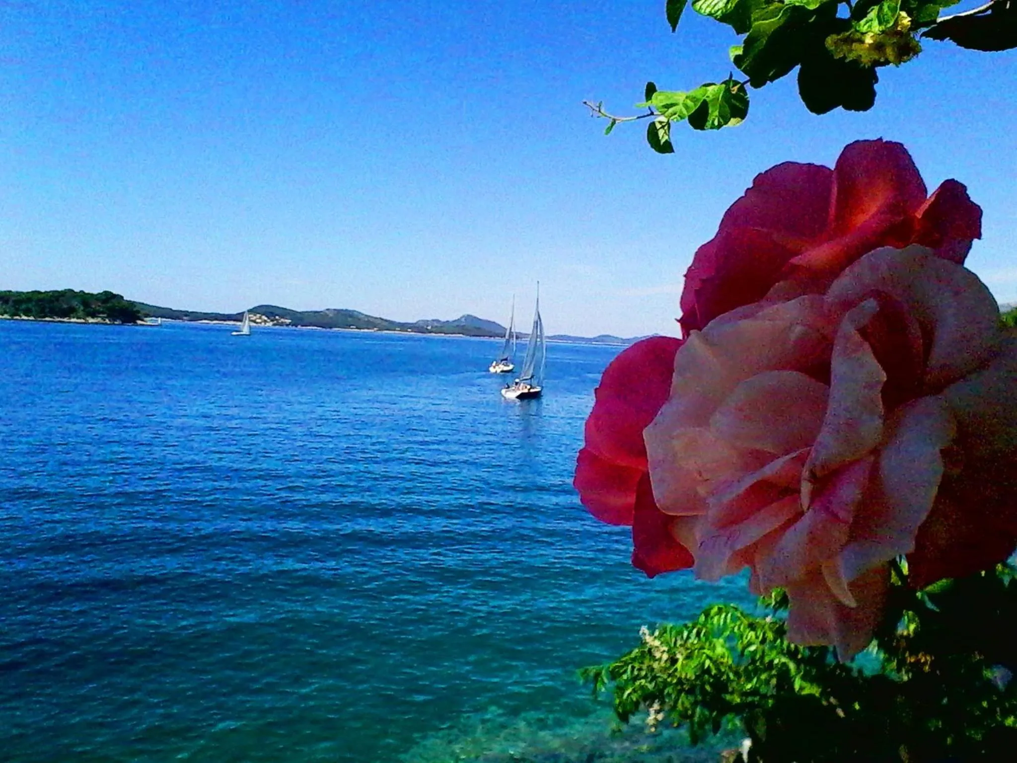 View (from property/room) in Sea of Eden