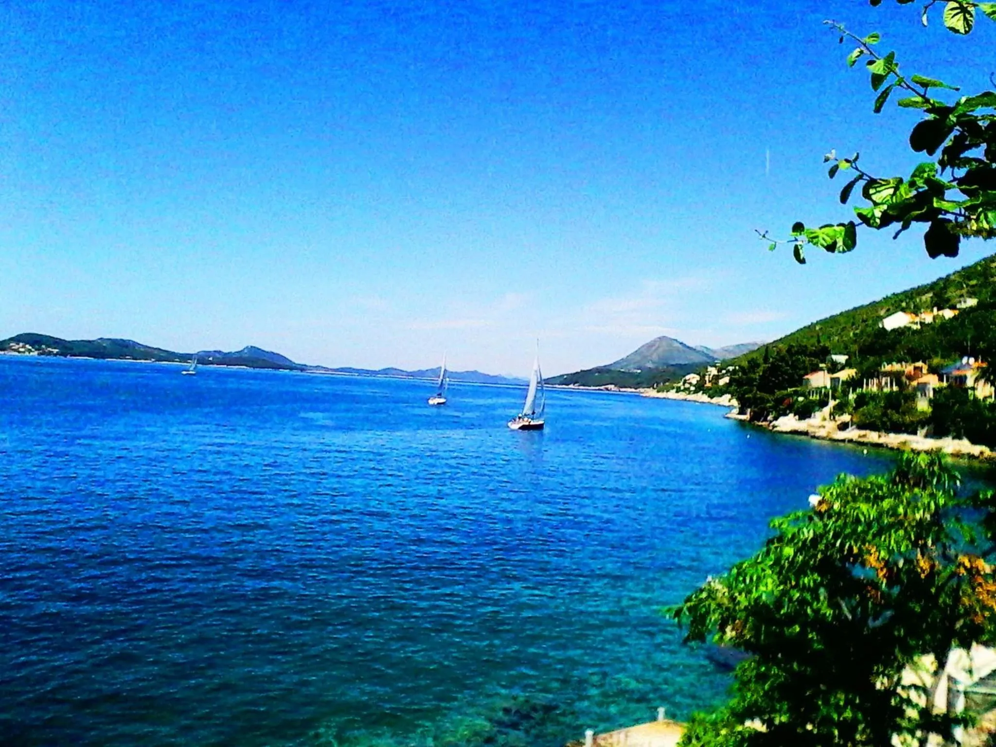 View (from property/room) in Sea of Eden