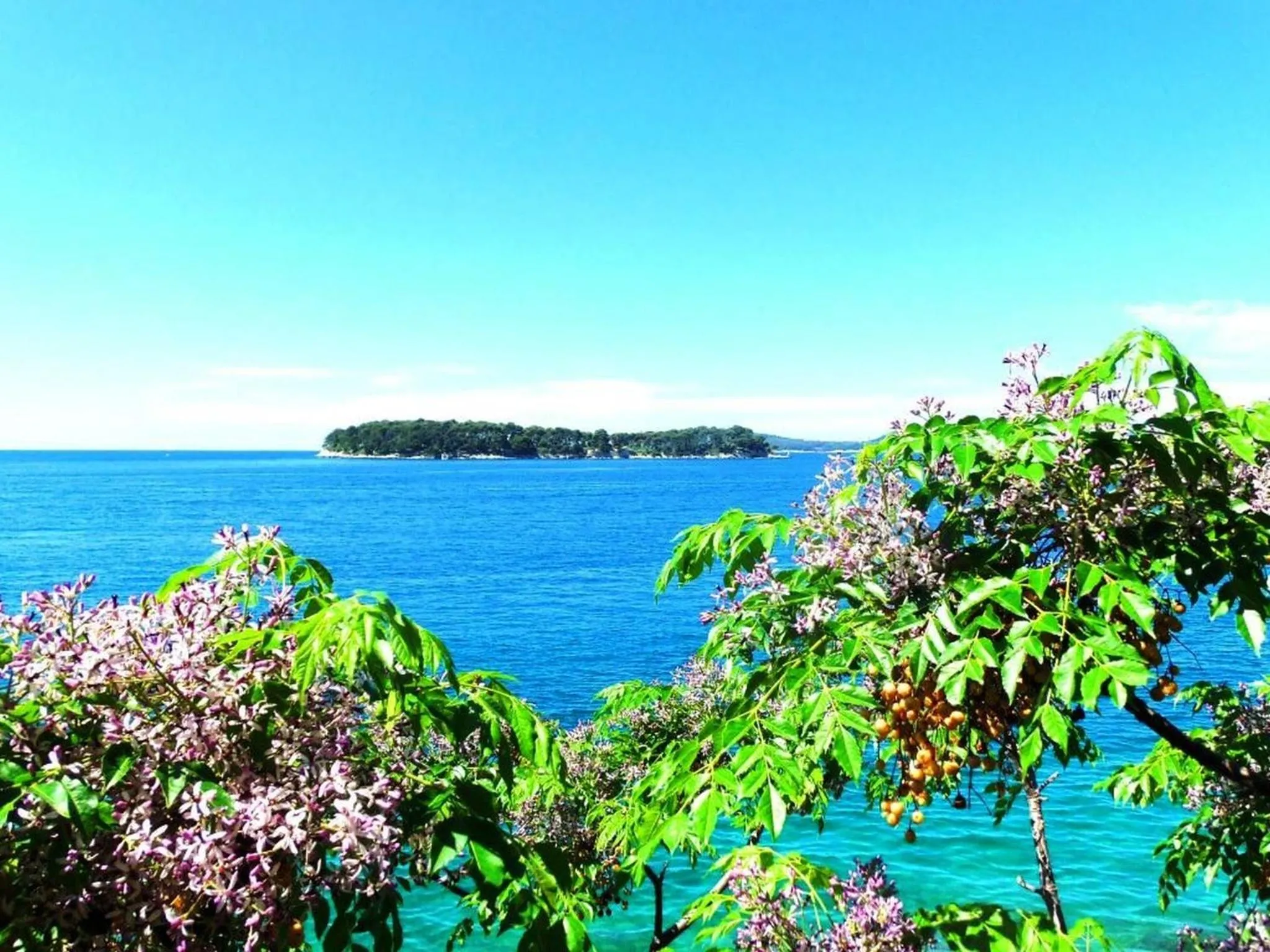 View (from property/room) in Sea of Eden