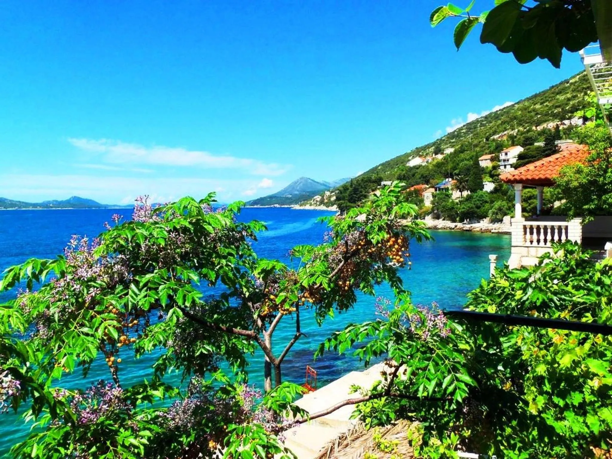 View (from property/room) in Sea of Eden