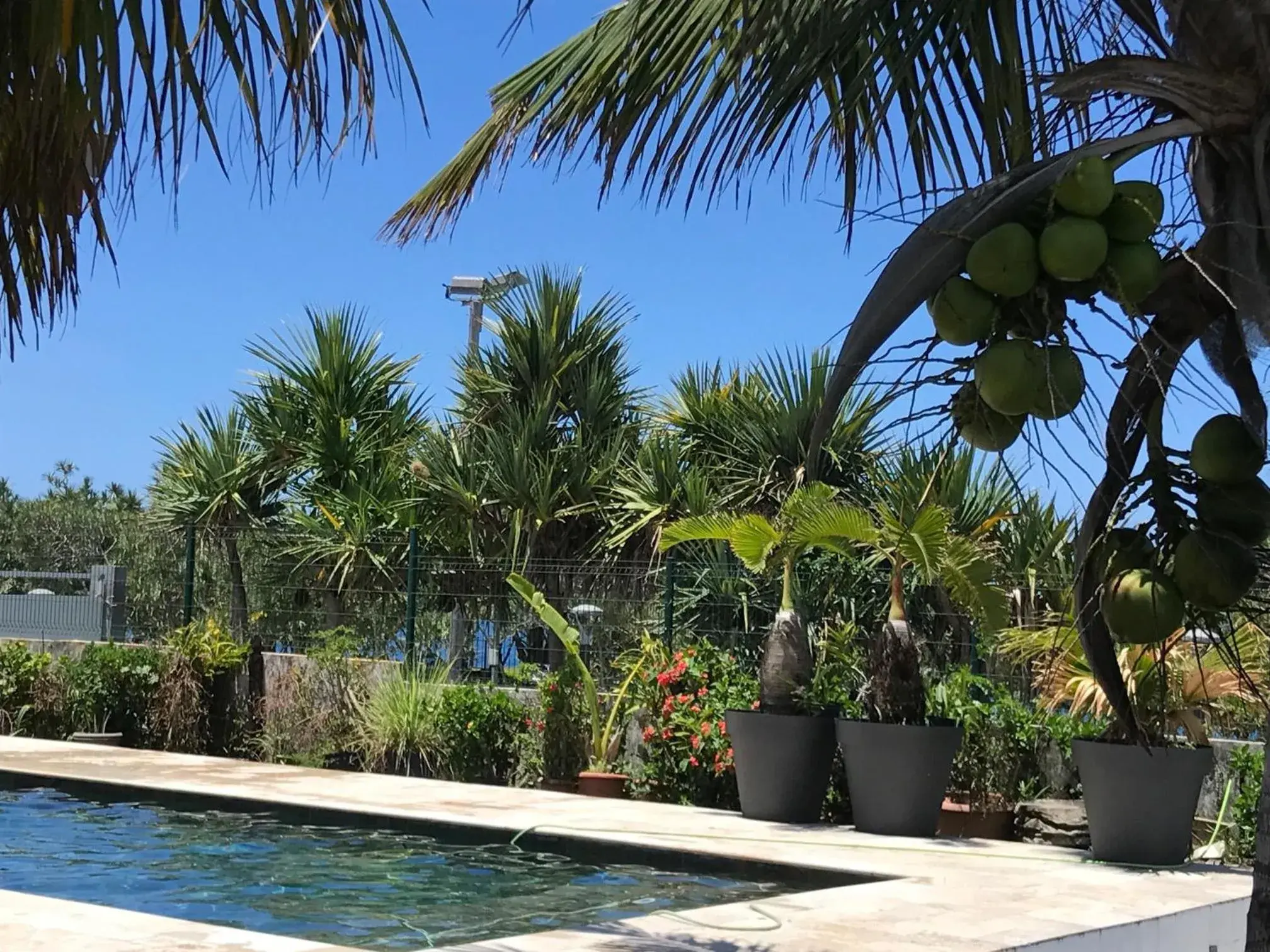 Bras-Panon: Maison avec vue et piscine 1-4 pers. Bras-Panon: Maison avec vue et piscine 1-4 pers.