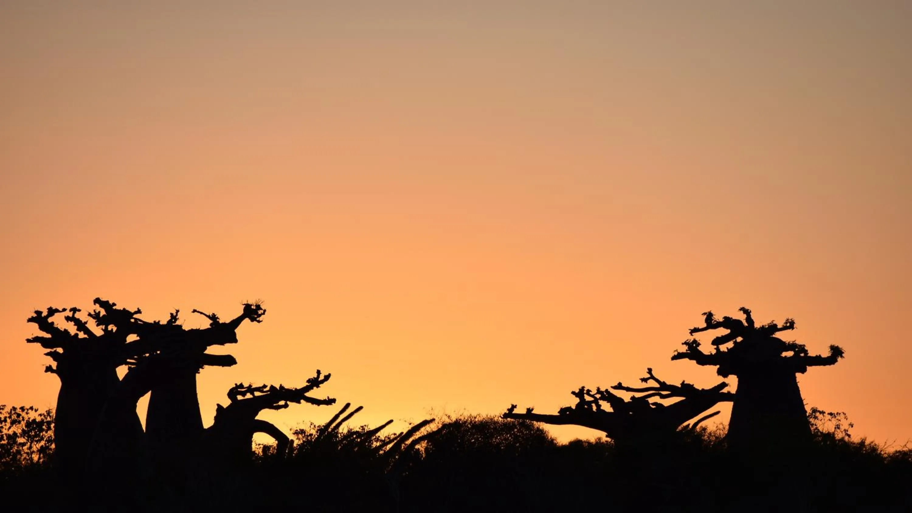 Hiking in Laguna Blu - Resort Madagascar