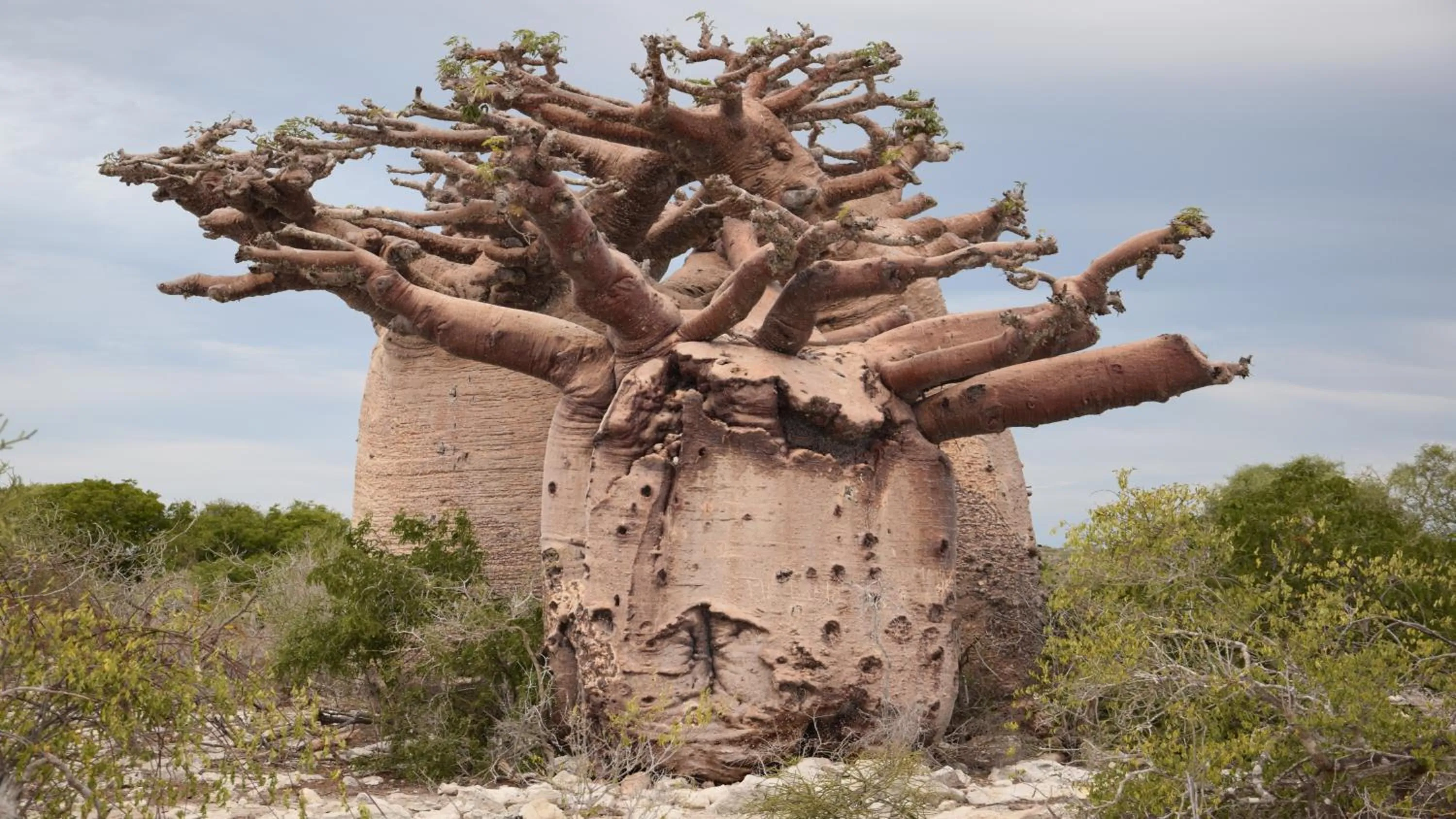 Hiking in Laguna Blu - Resort Madagascar