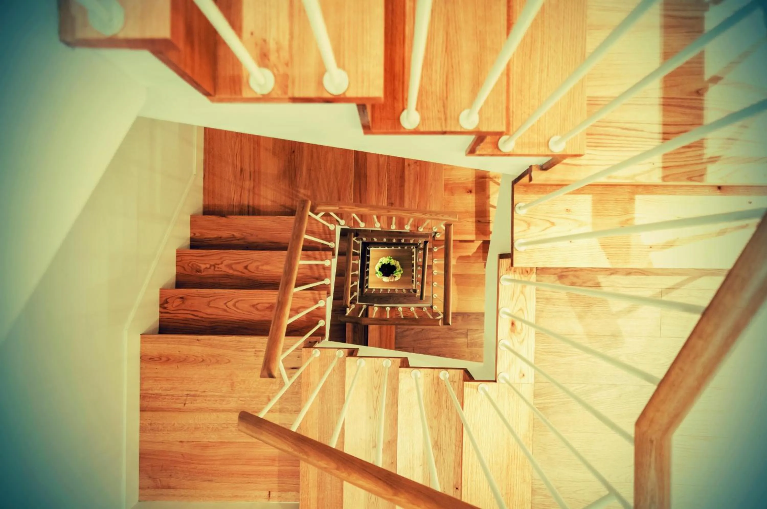 Other in Deniké Grupo Atalaia