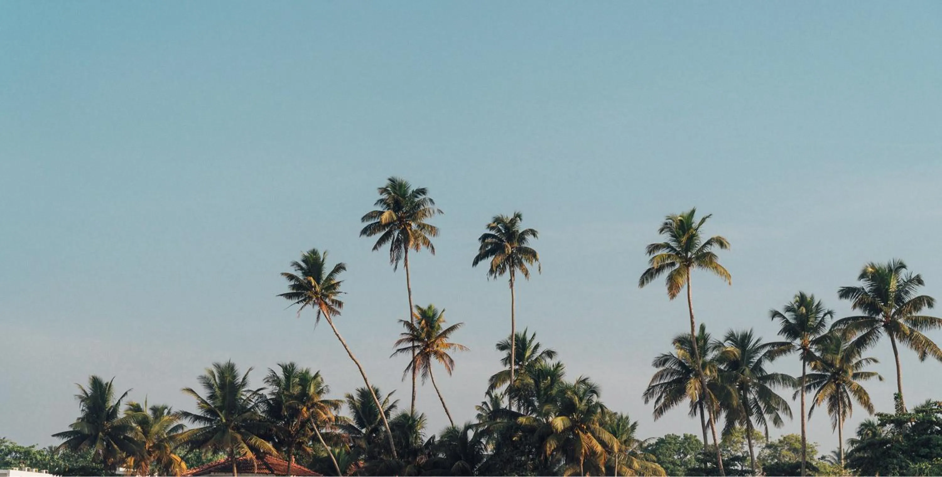 Beach in Lucky's Surf Camp