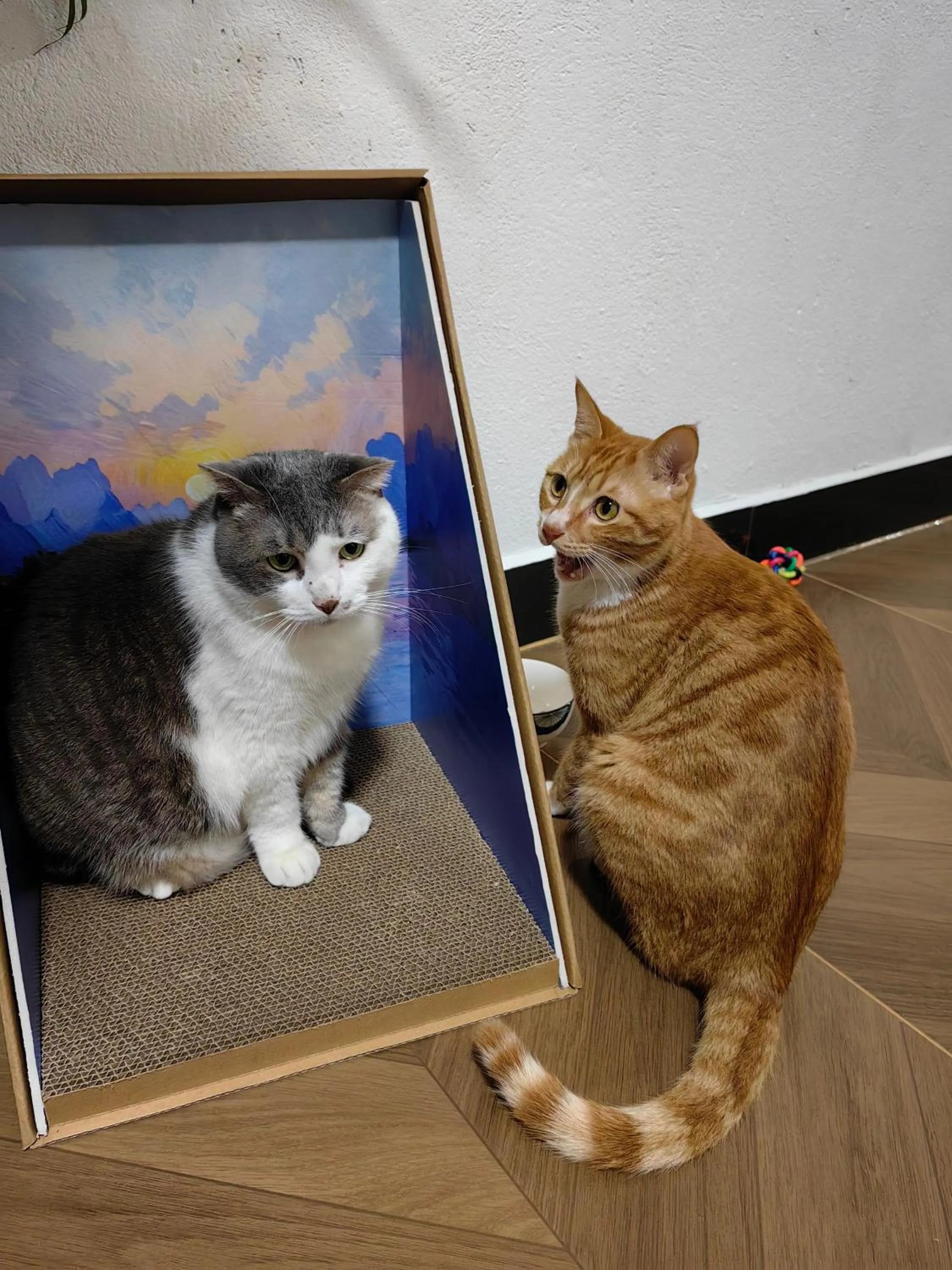 Animals in Autumn Inn