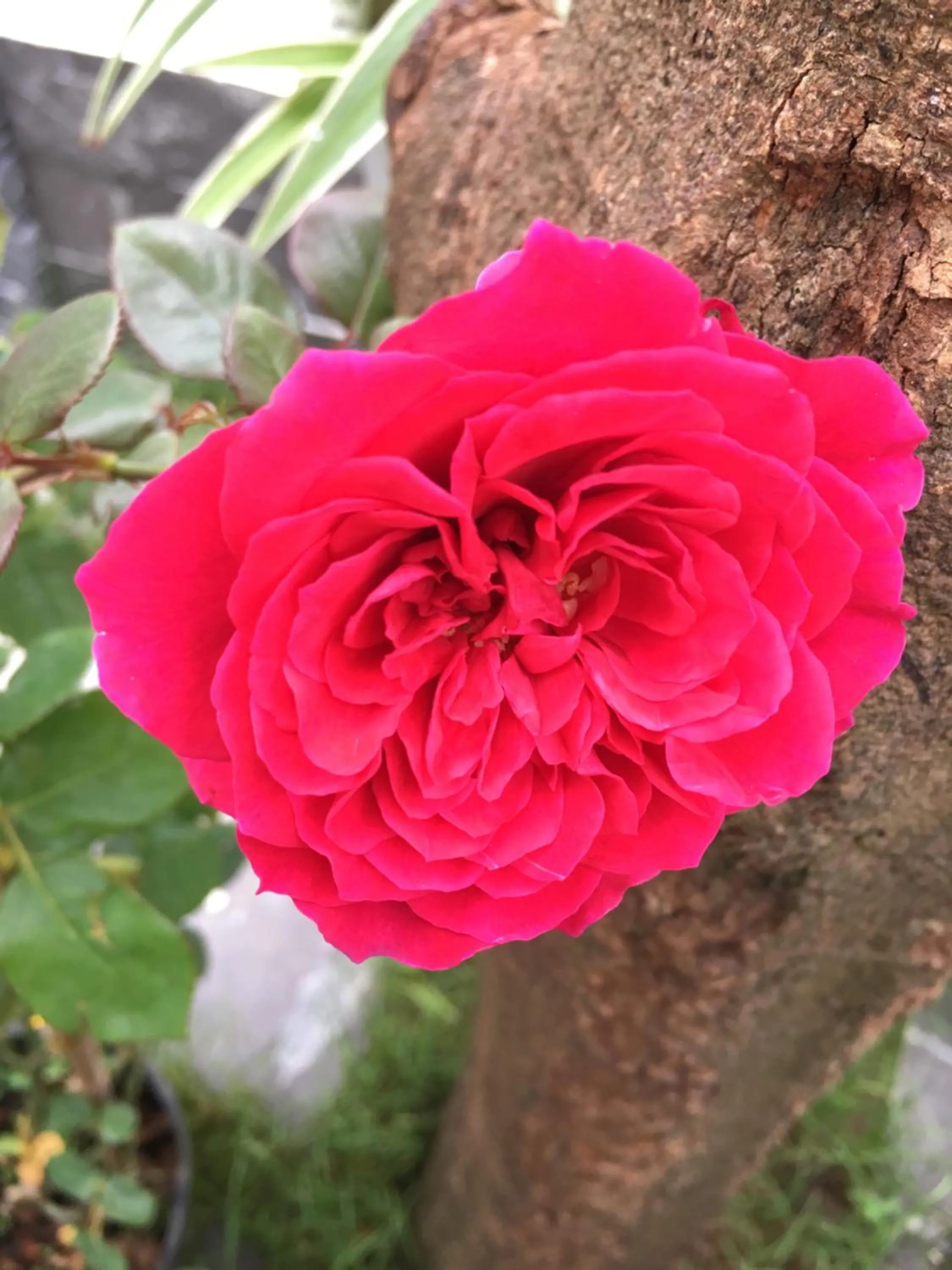 View (from property/room) in An Bang Scent Beach Homestay