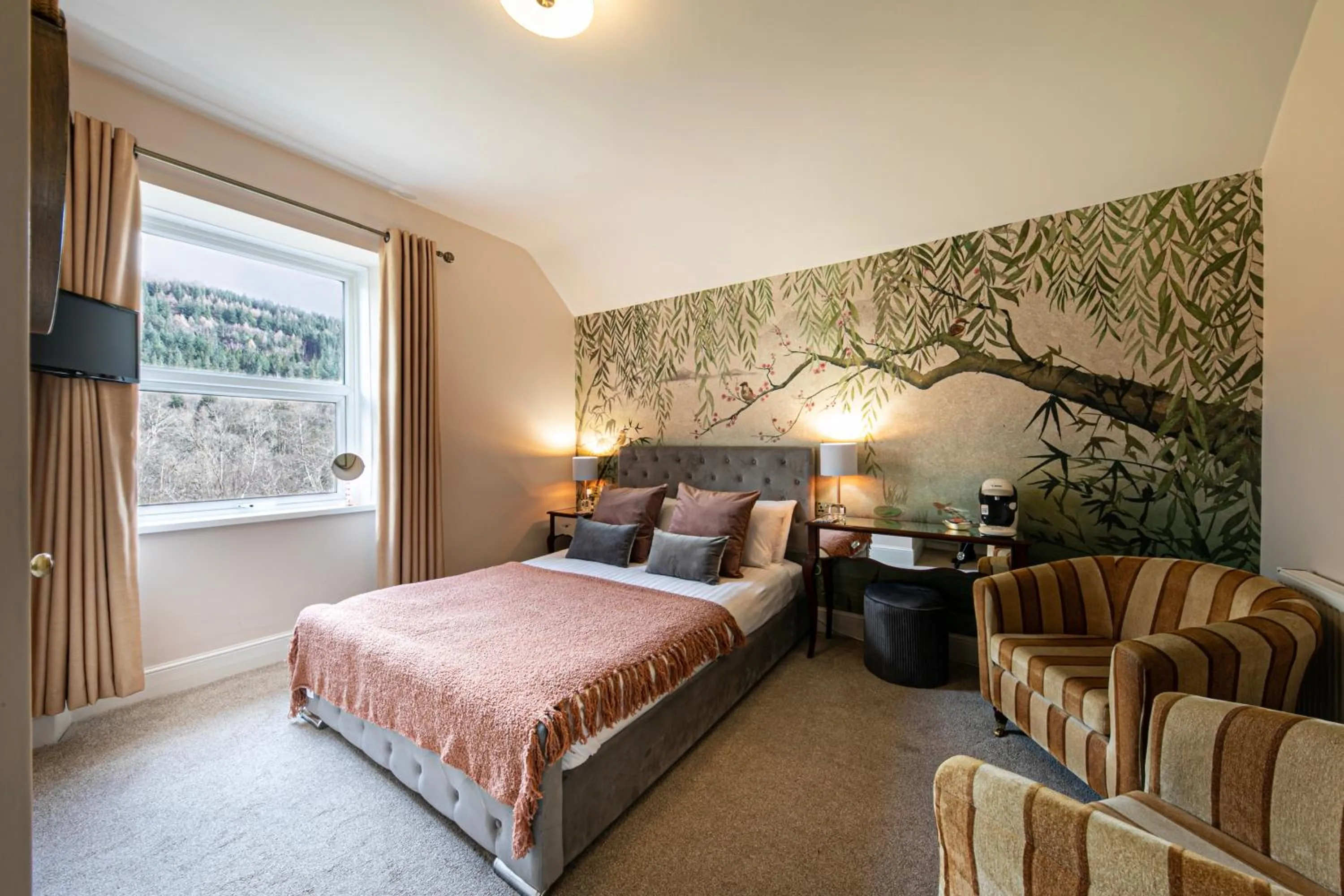TV and multimedia, Bed in Afon View