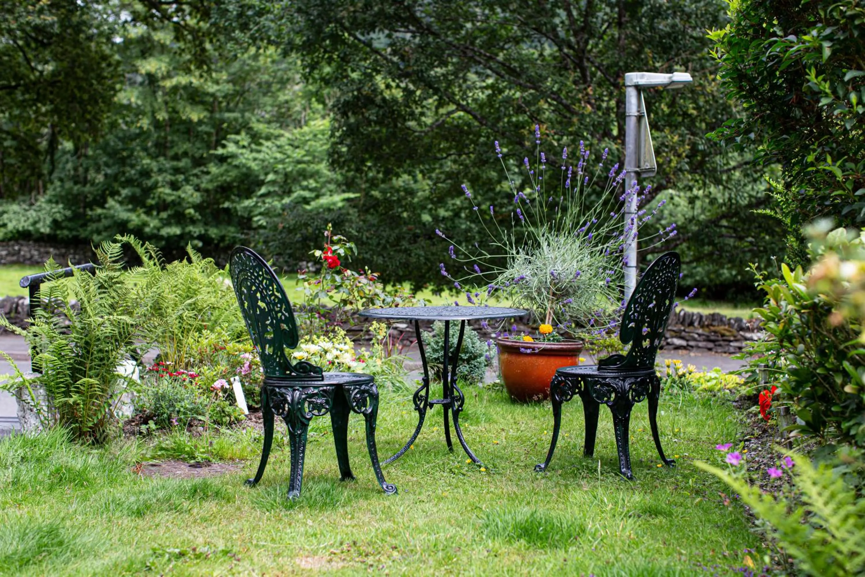 Garden in Afon View