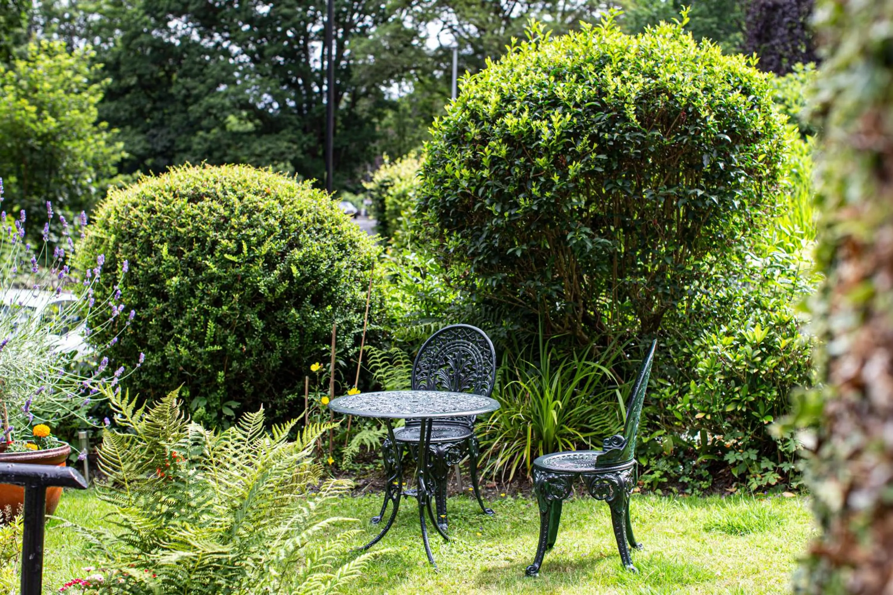 Garden in Afon View