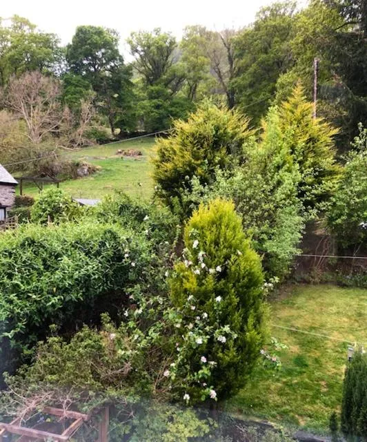 Garden view in Afon View