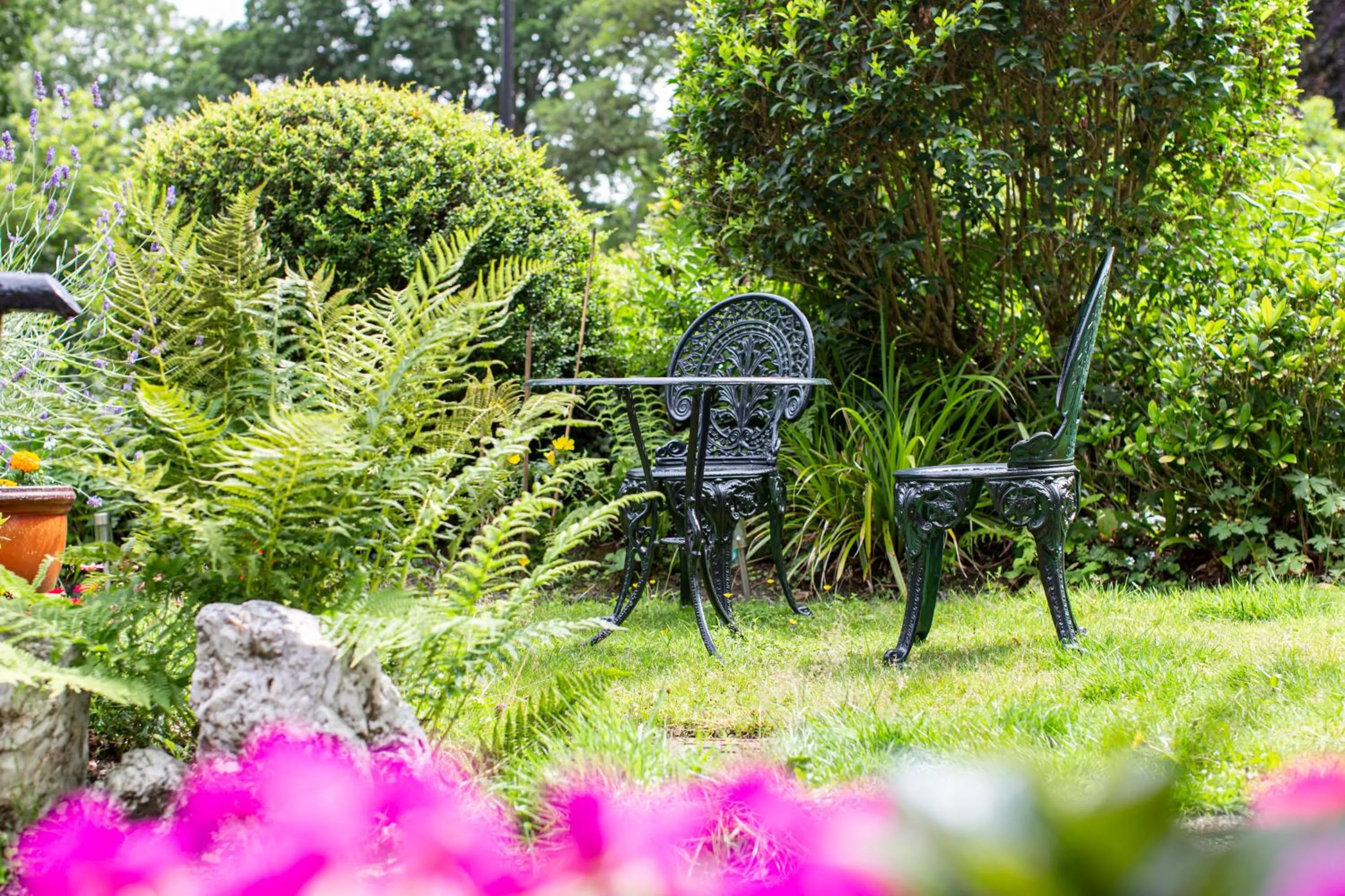 Garden in Afon View